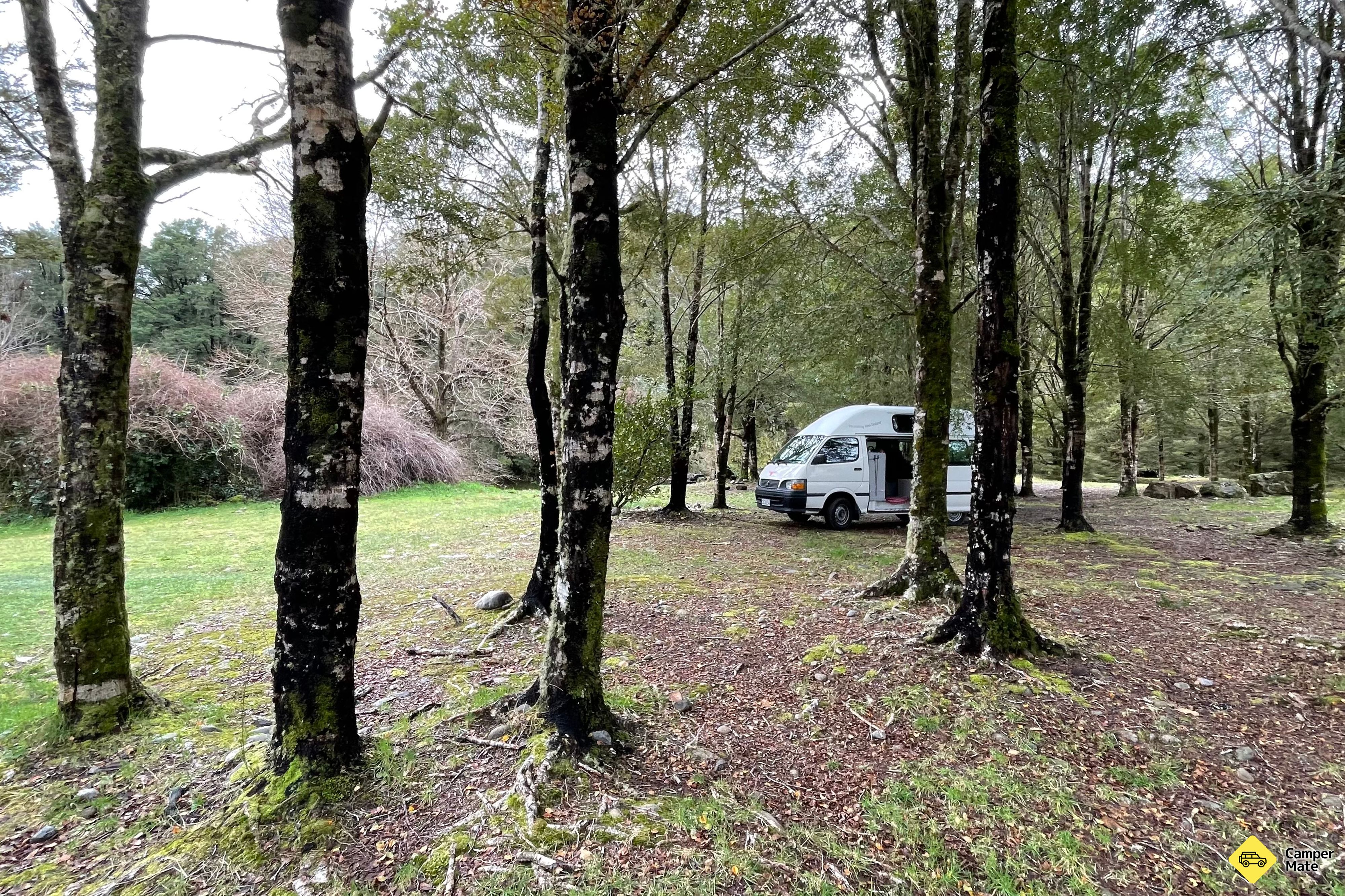 Nelson Creek Rekreációs Tartalék