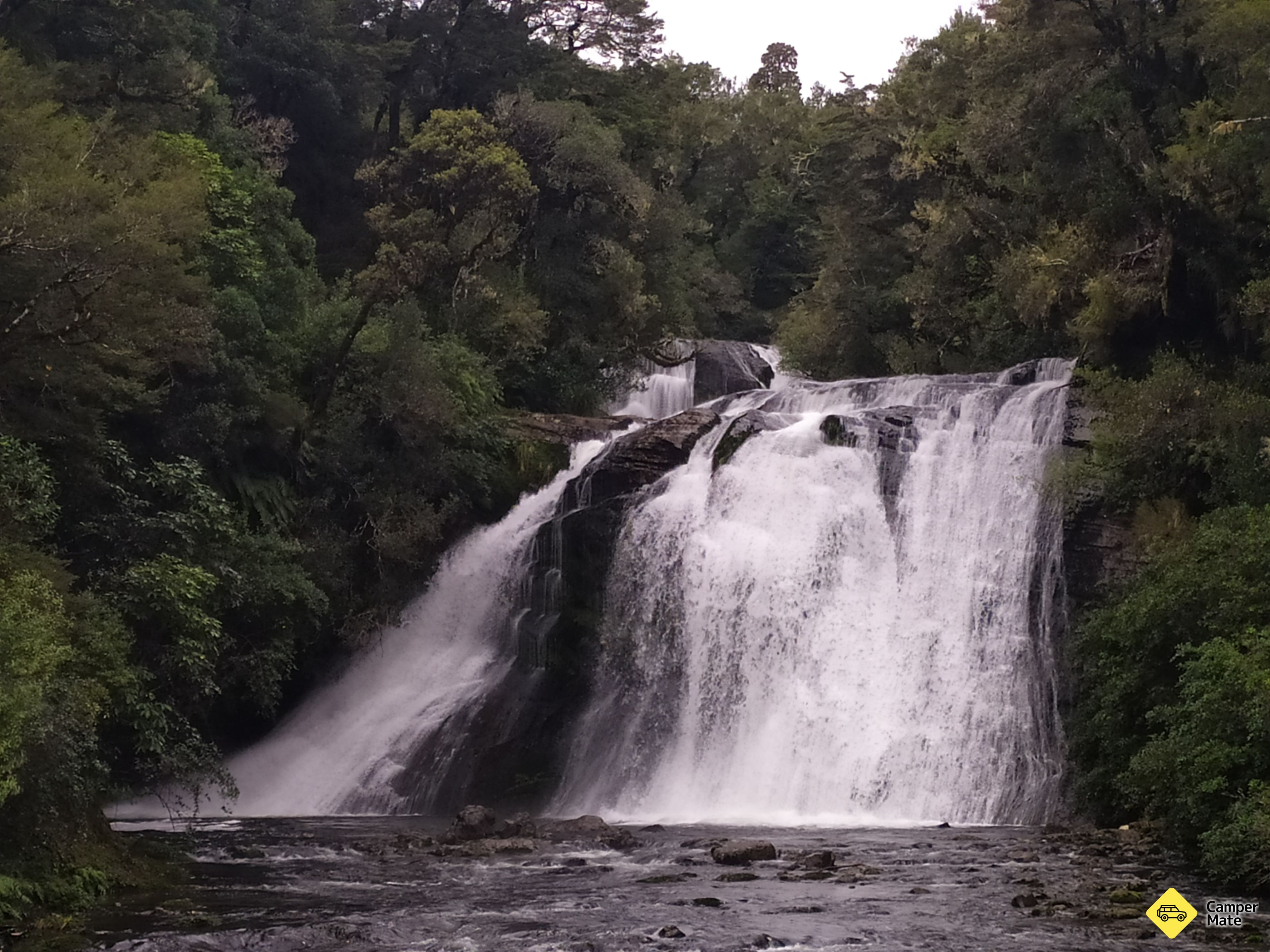 Papakorita Falls & Walk - Image 3
