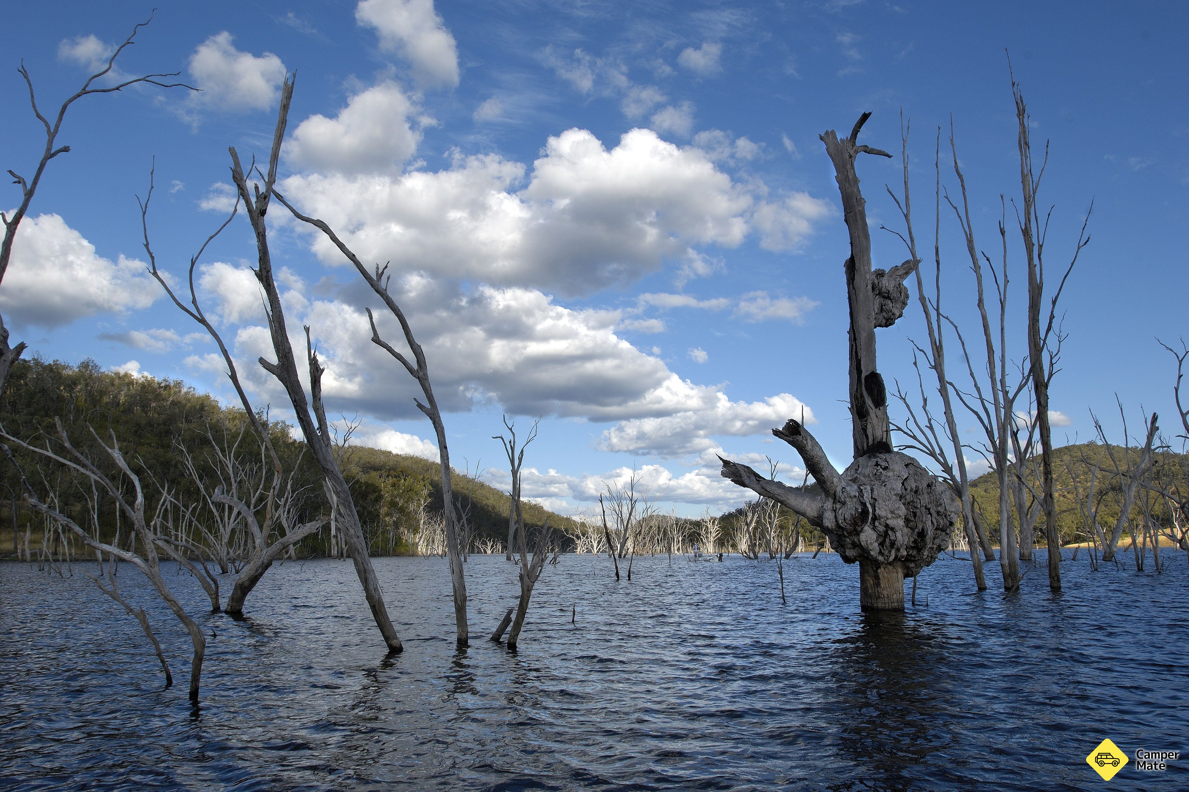 หญิง Eungella - Image 2