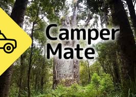 Waipoua Forest Tours
