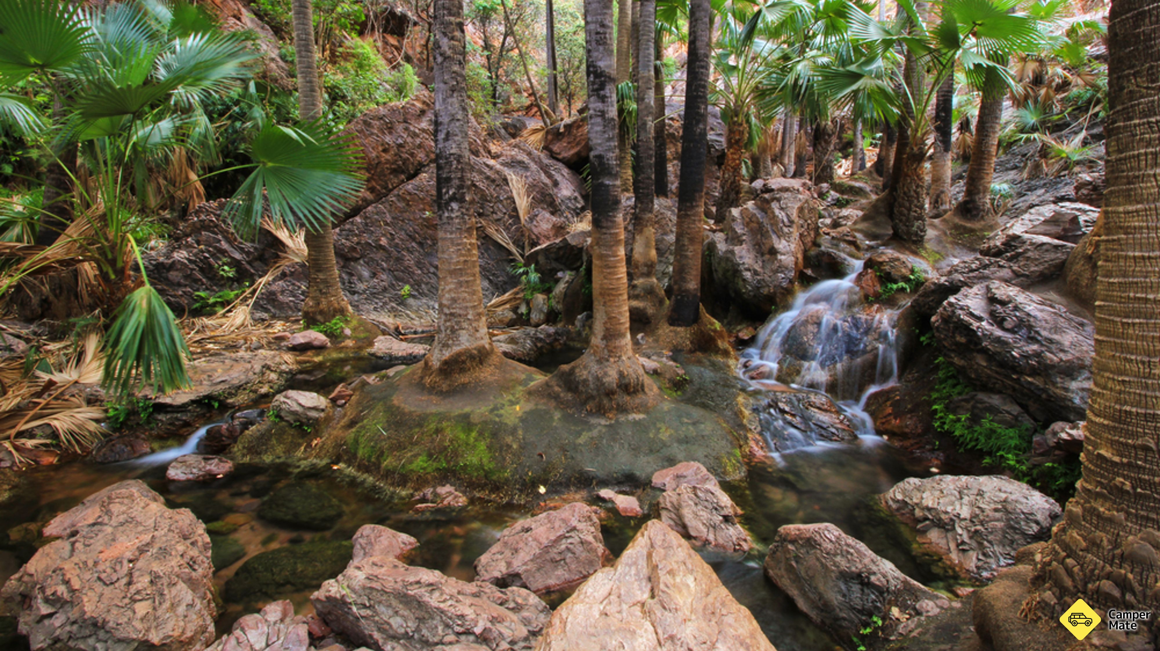 Zebedee Springs