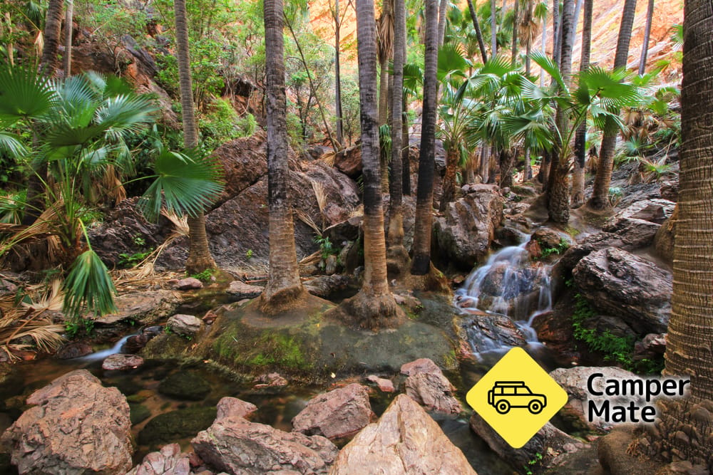 Zebedee Springs