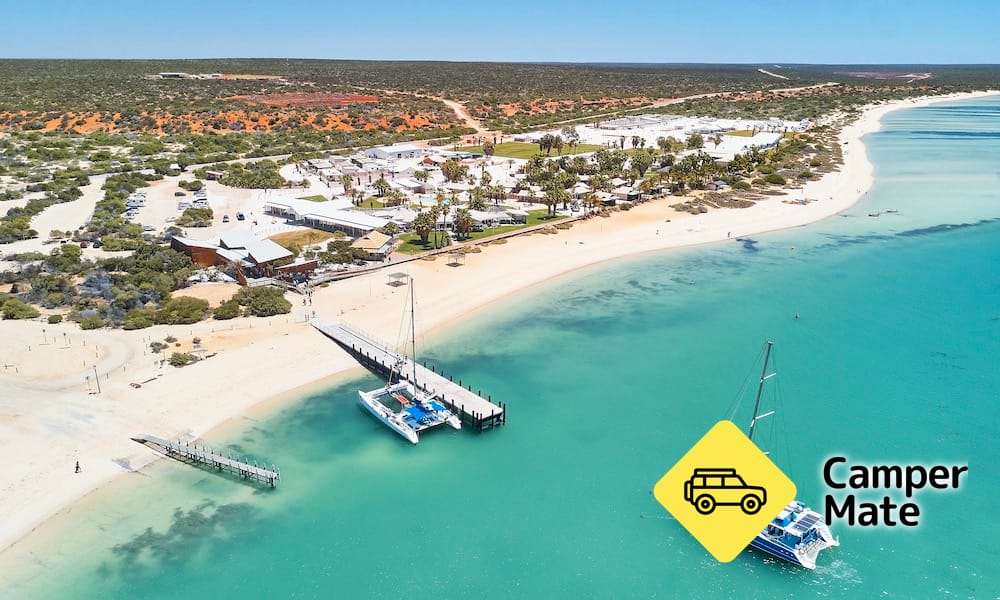 Scenic Flights From Kalbarri to Monkey Mia and Beyond