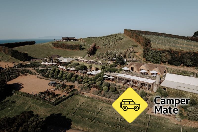 Mudbrick Vineyard - Image 2