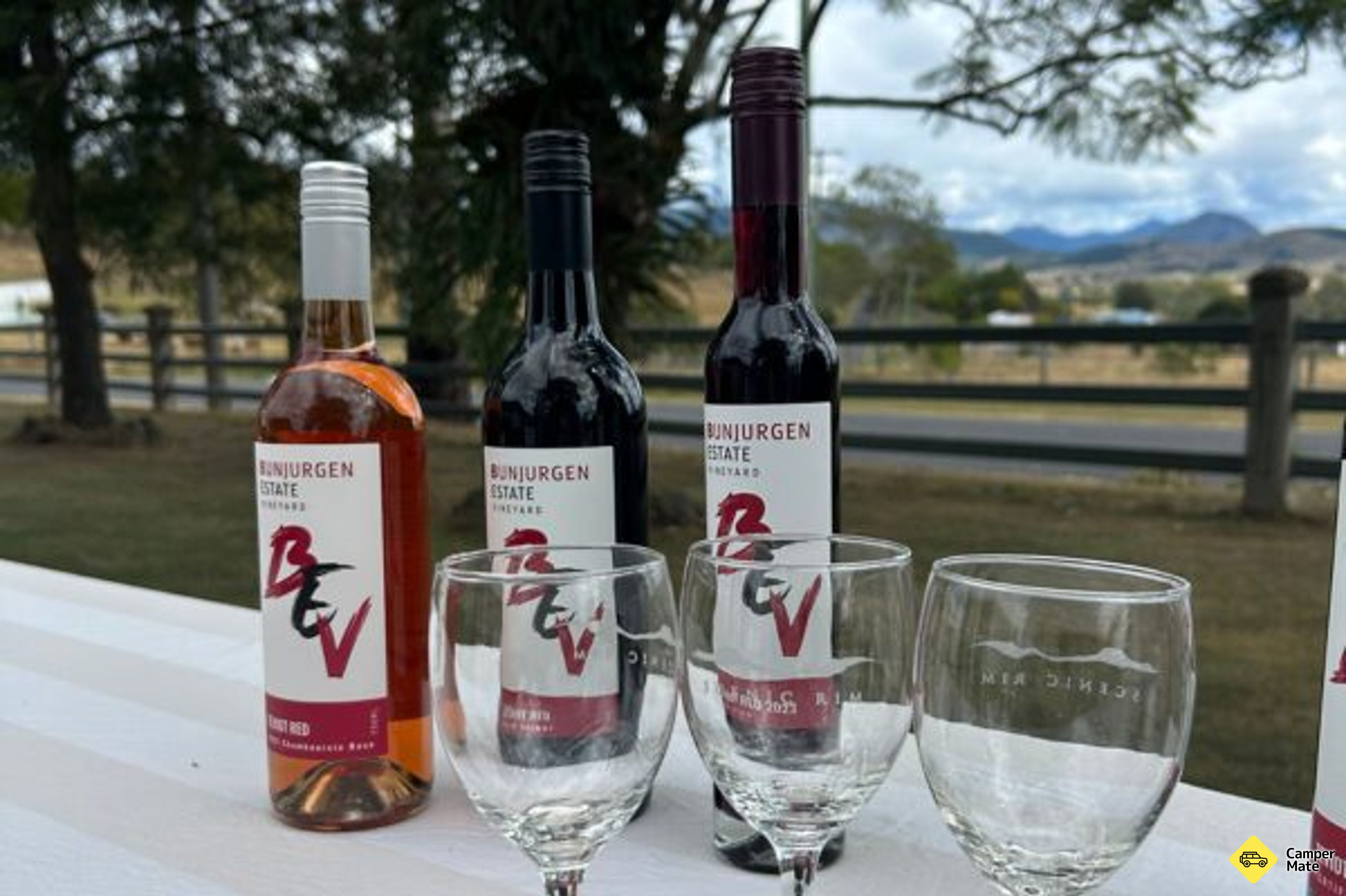Chocolate, Cheese and Wine in the Vineyard - Eat Local Month - Image 2