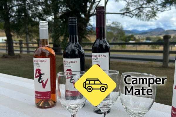 Chocolate, Cheese and Wine in the Vineyard - Eat Local Month - Image 2