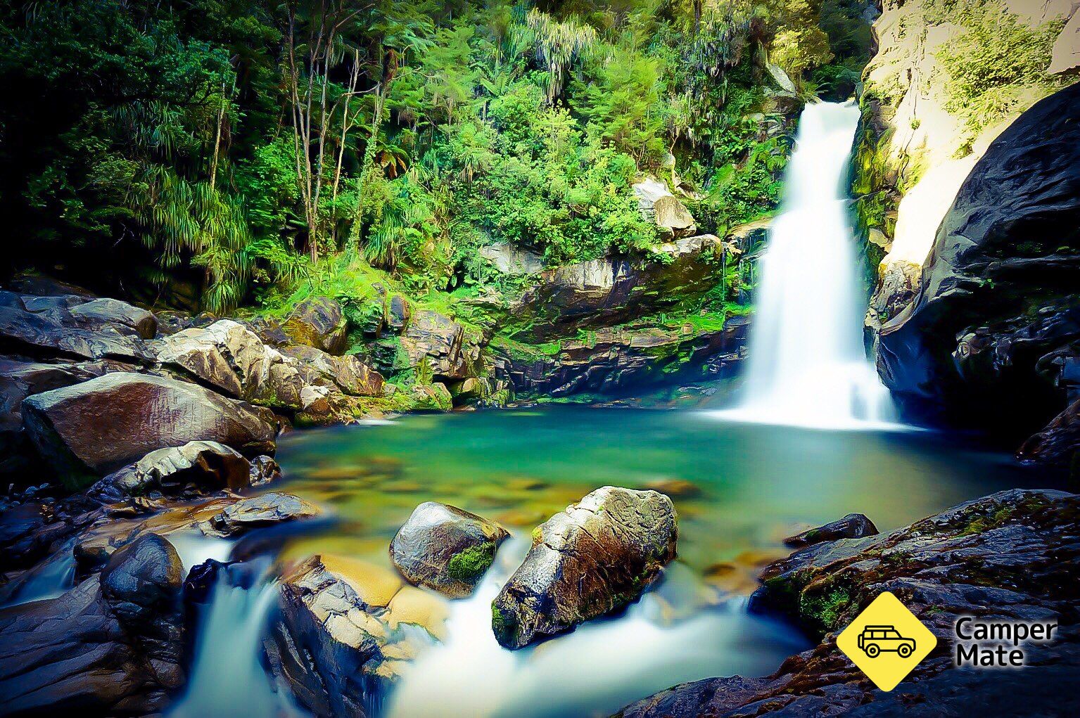 Wainui Falls - Image 2
