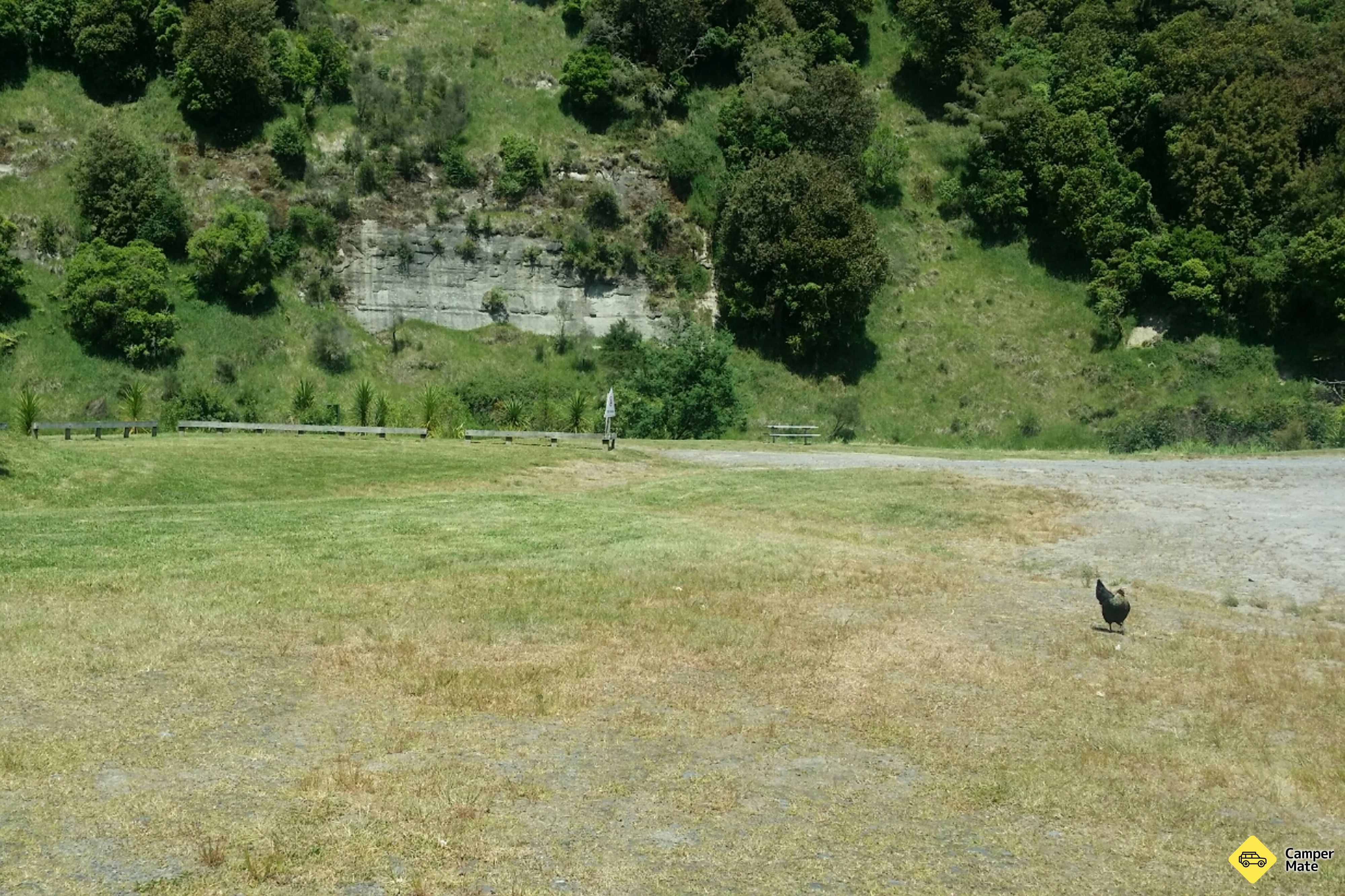 Ohinepane Campsite - Image 2