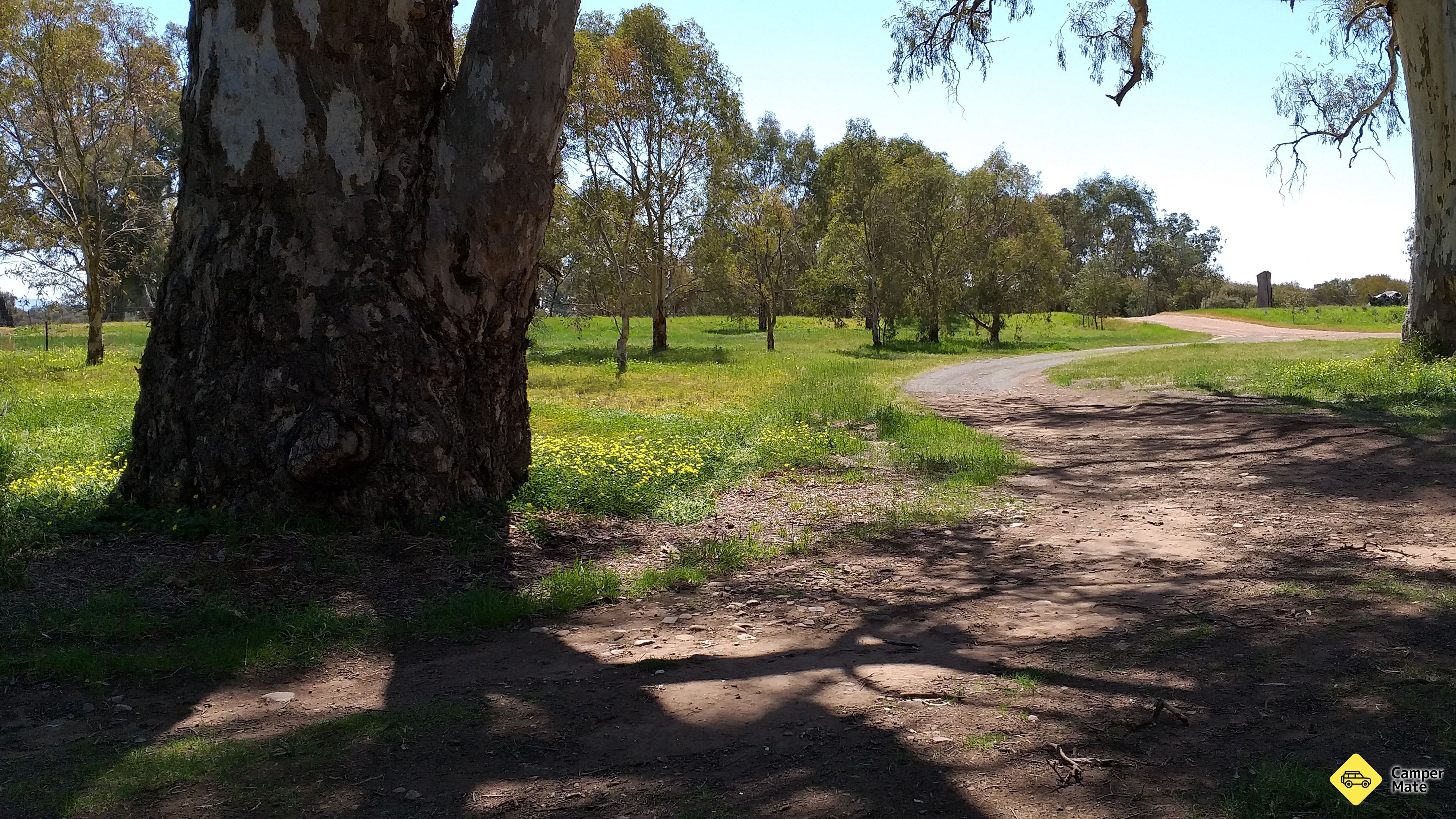 Goyder's Line Memorial Rest Area