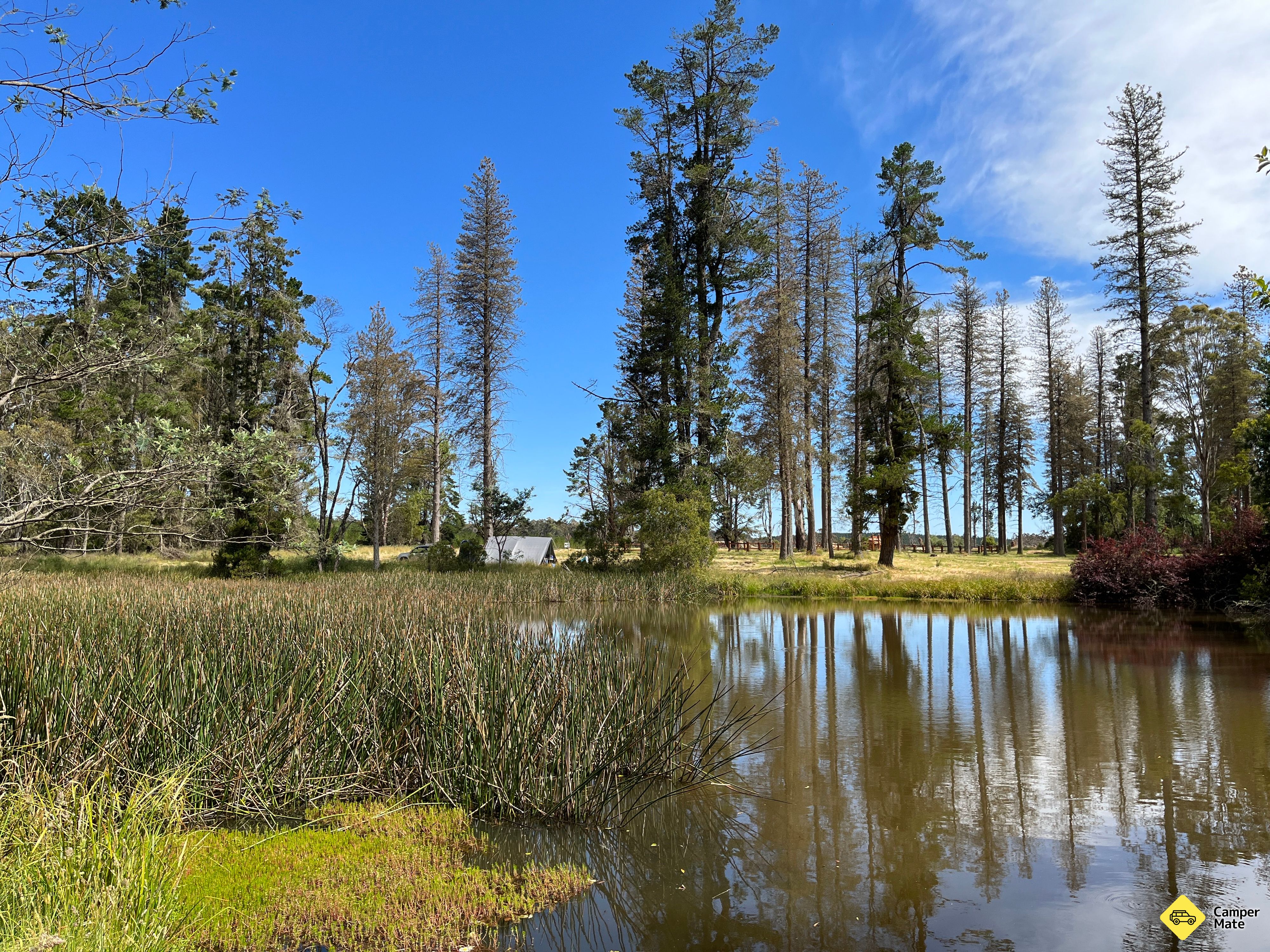 Ponderosa Park Campground - Image 2