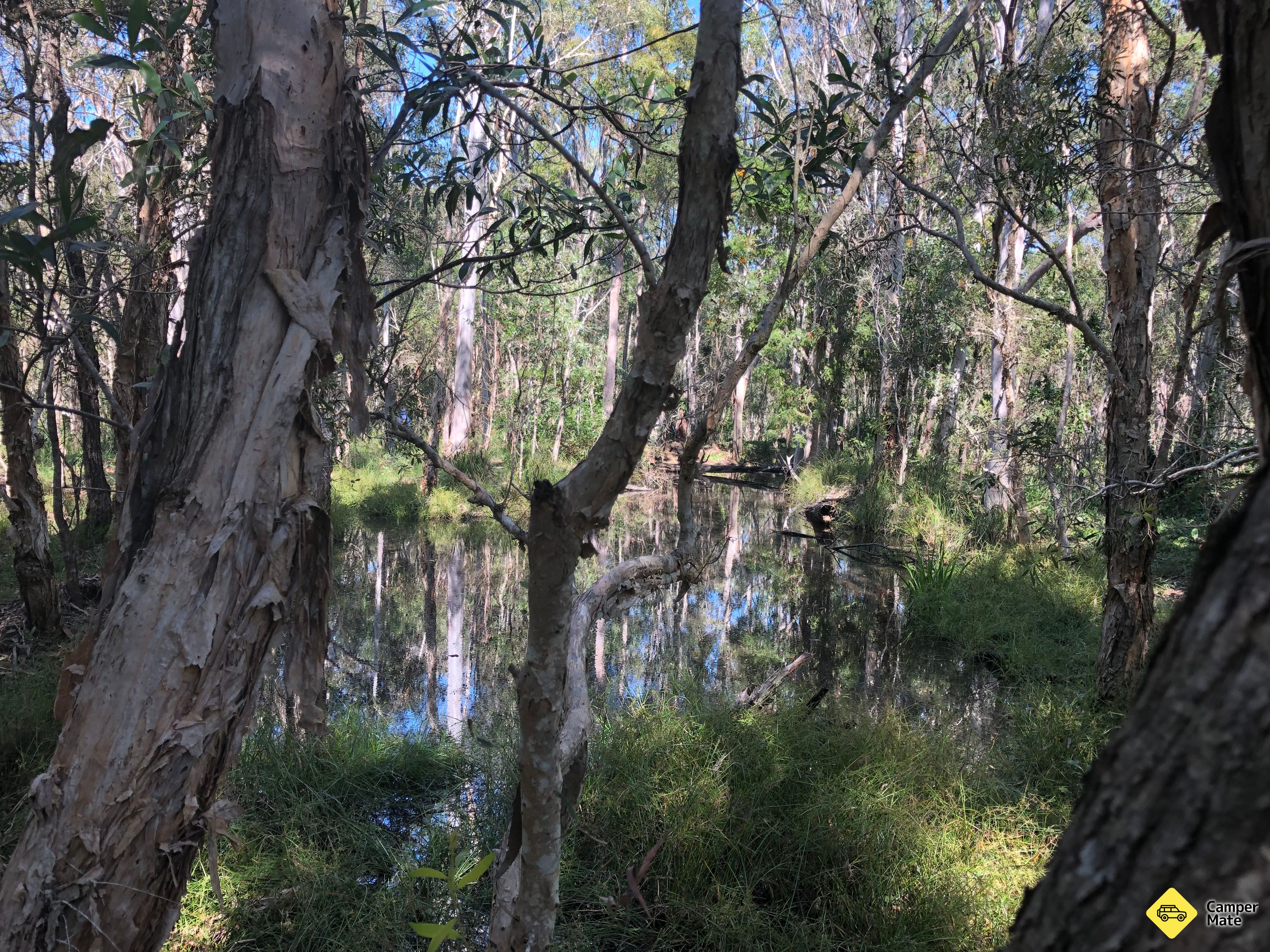 Fraser Coast RV Park - Image 2