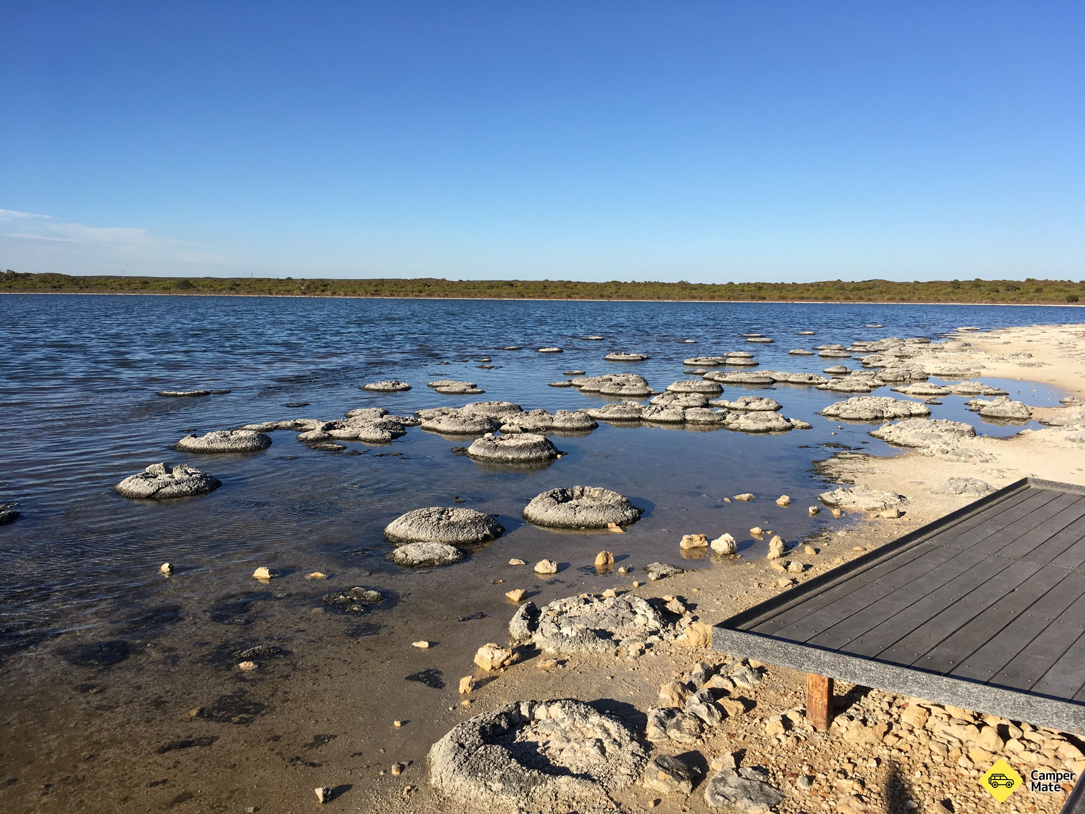 Søen Thetis Stromatolites - Image 3