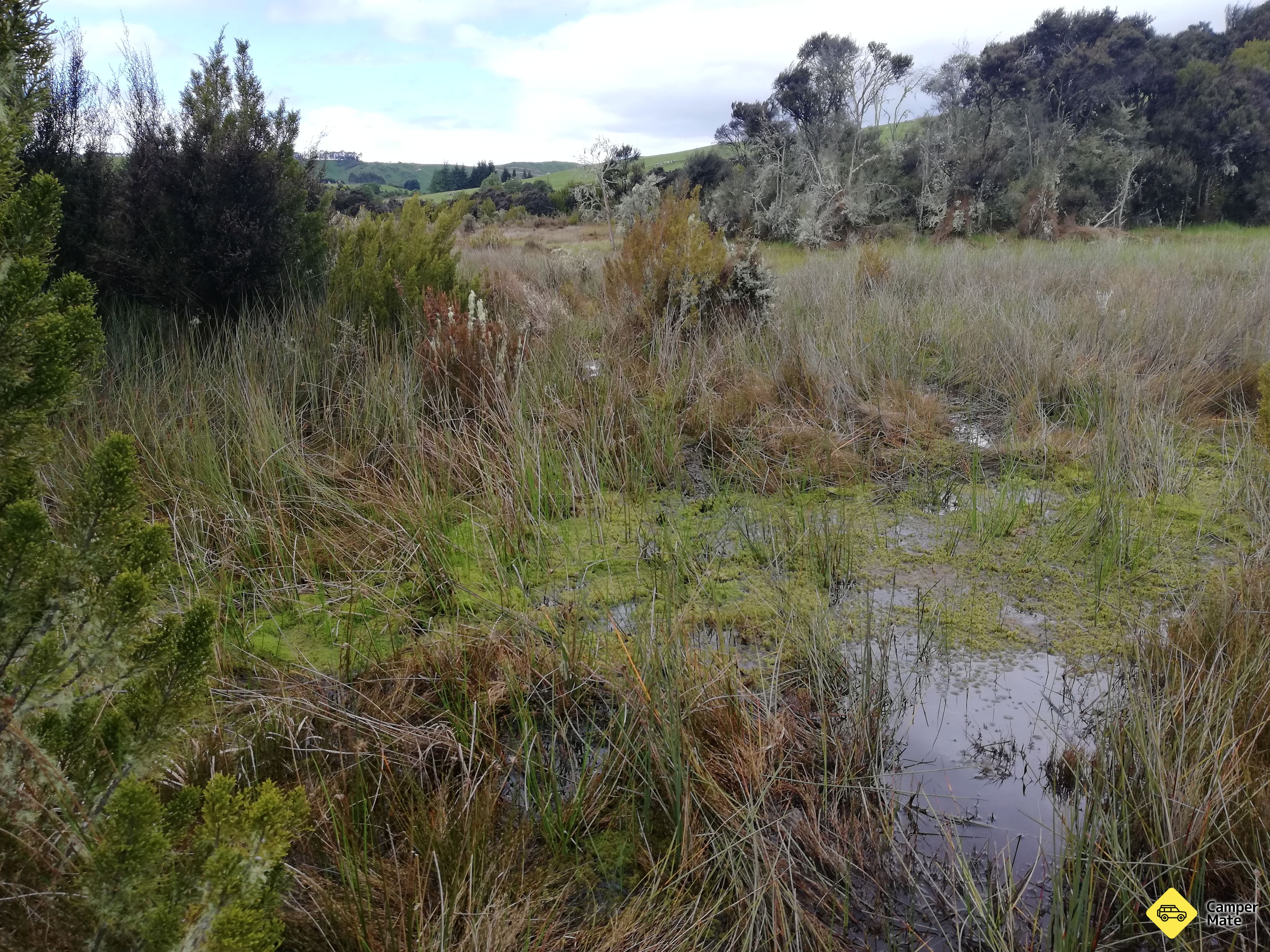 Películas de Dead Marshes LOTR - Image 2