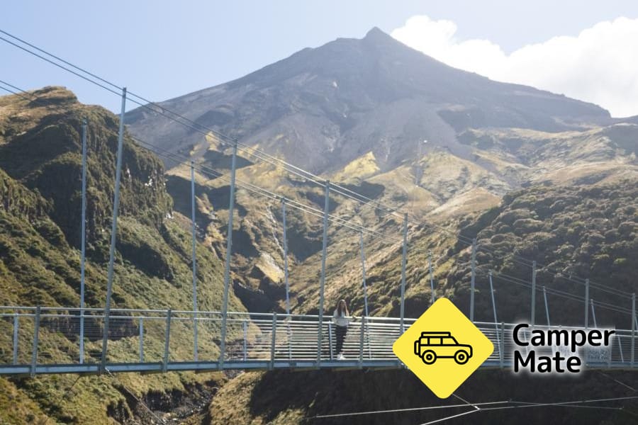 Manganui Gorge Track and Suspension Bridge - Image 2