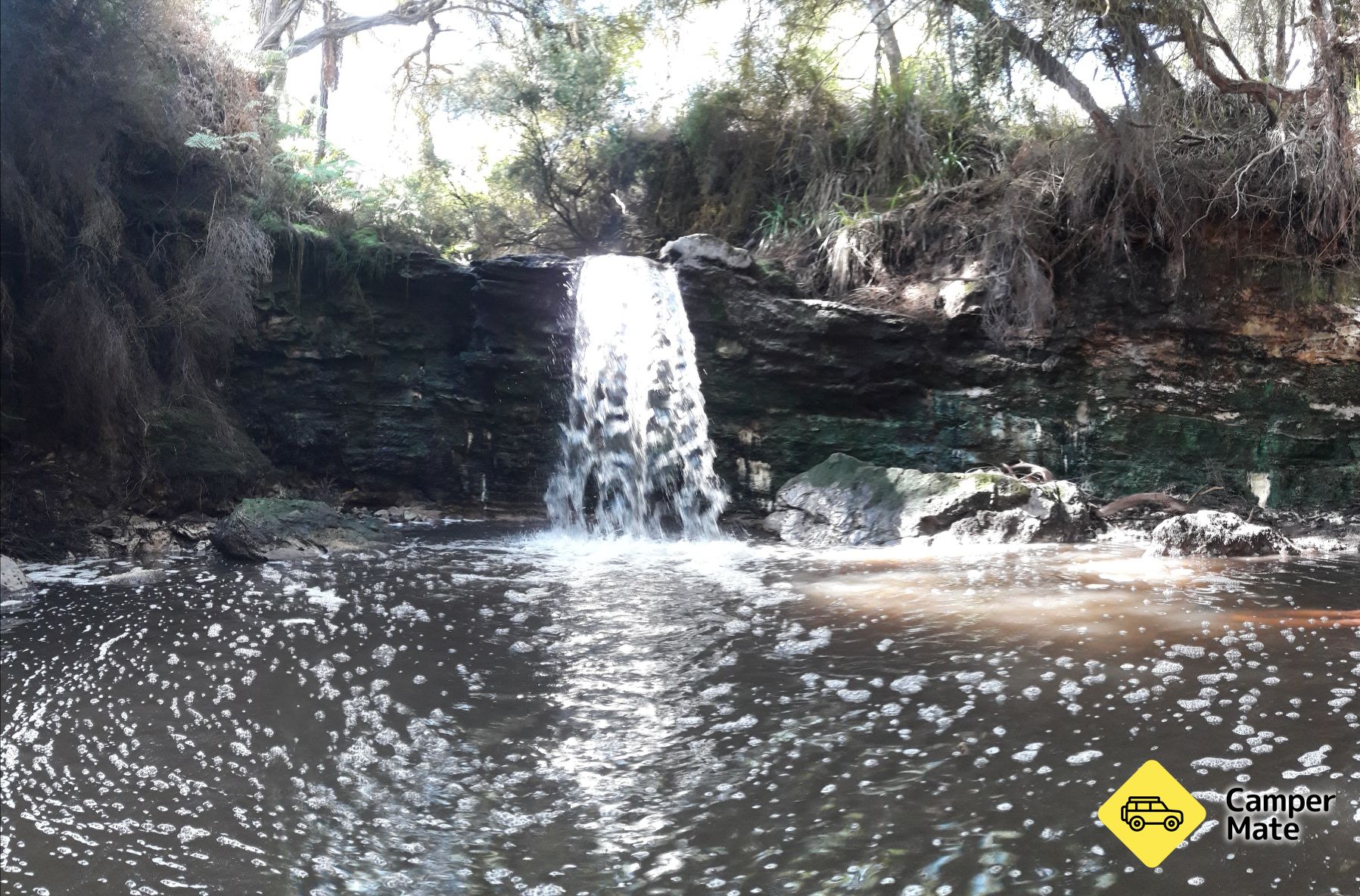 Lady Knox Geyser Hot Pool الطبيعي - Image 2
