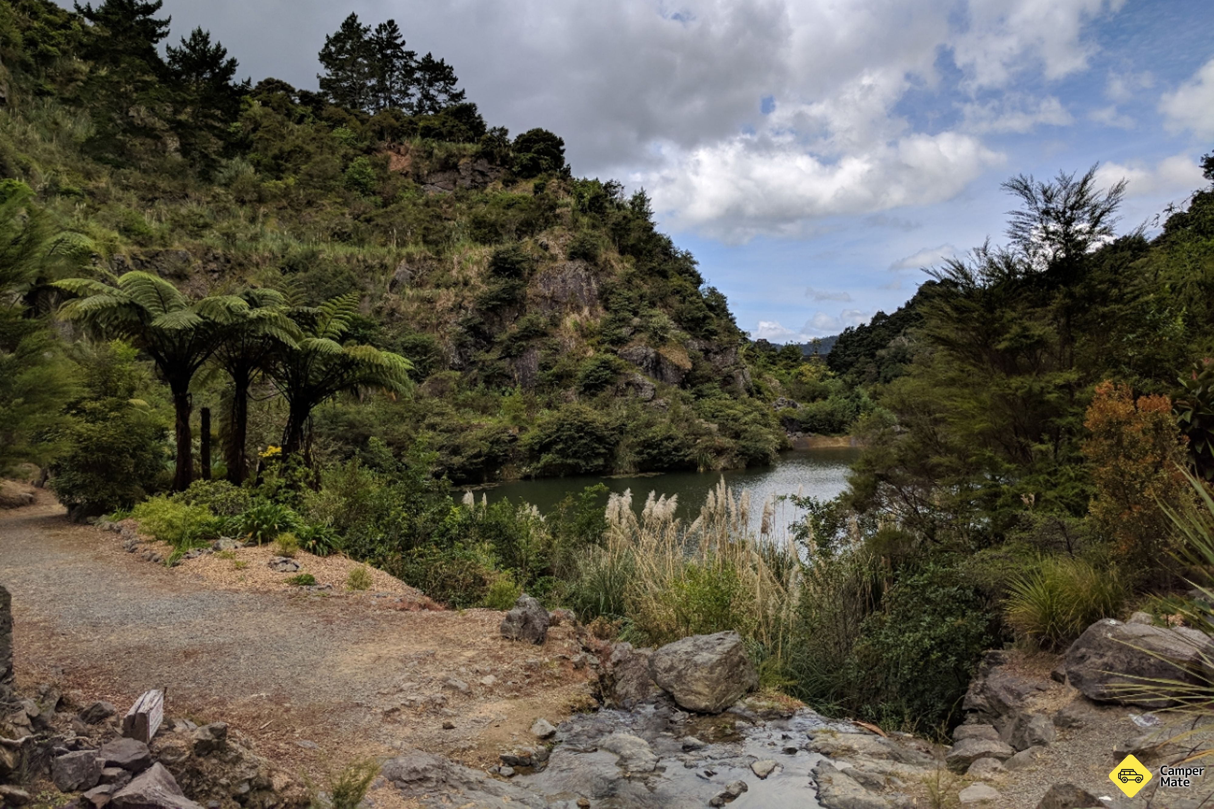 Whangarei Quarry Gardens(ワンガリー・クアリー・ガーデンズ) - Image 3