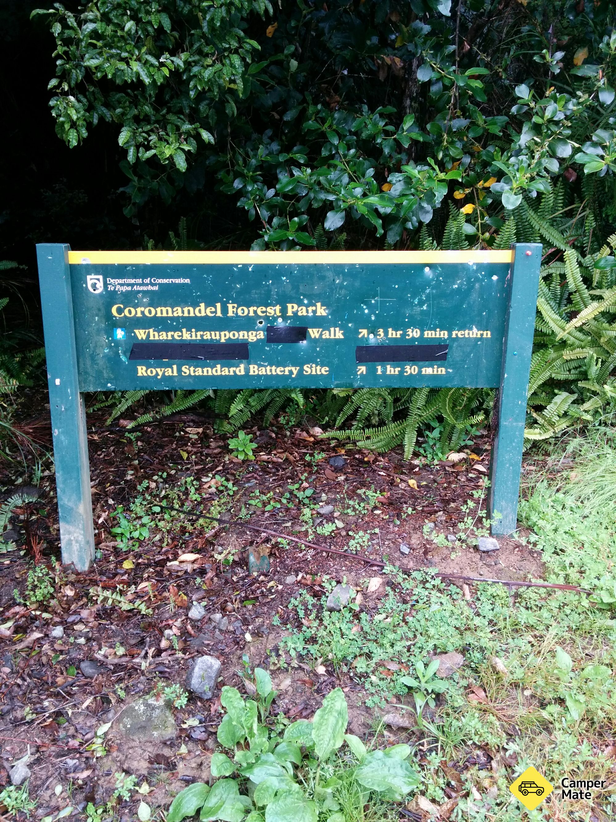 Wharekirauponga Loop ウォーク