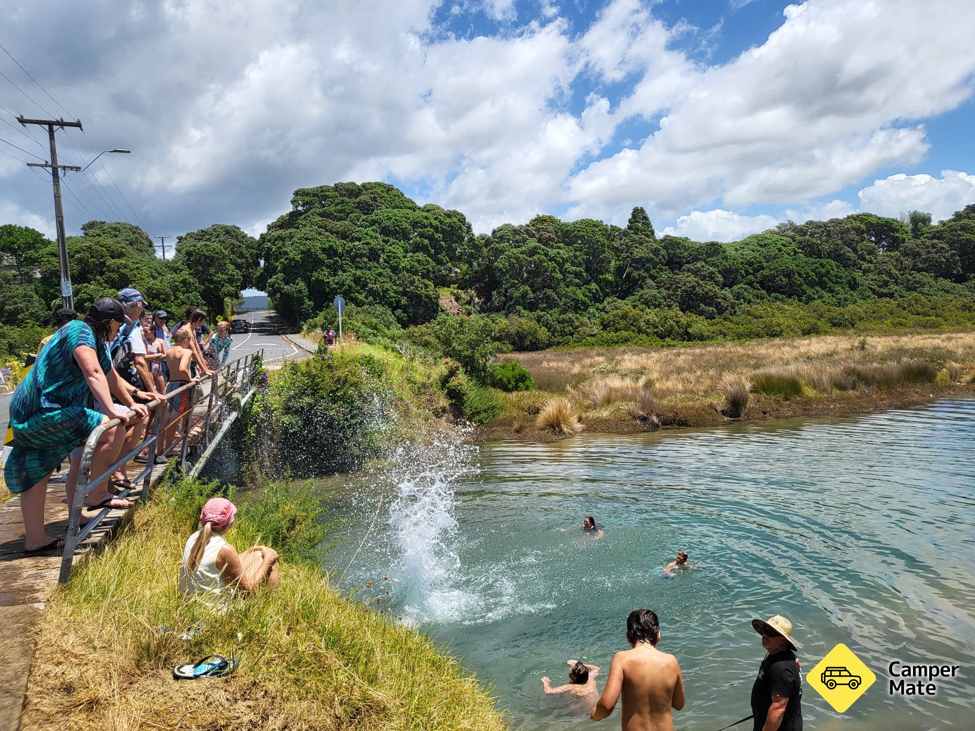 Ruakaka Beach Holiday Park - Image 2