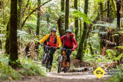 Timber Trail Cycling