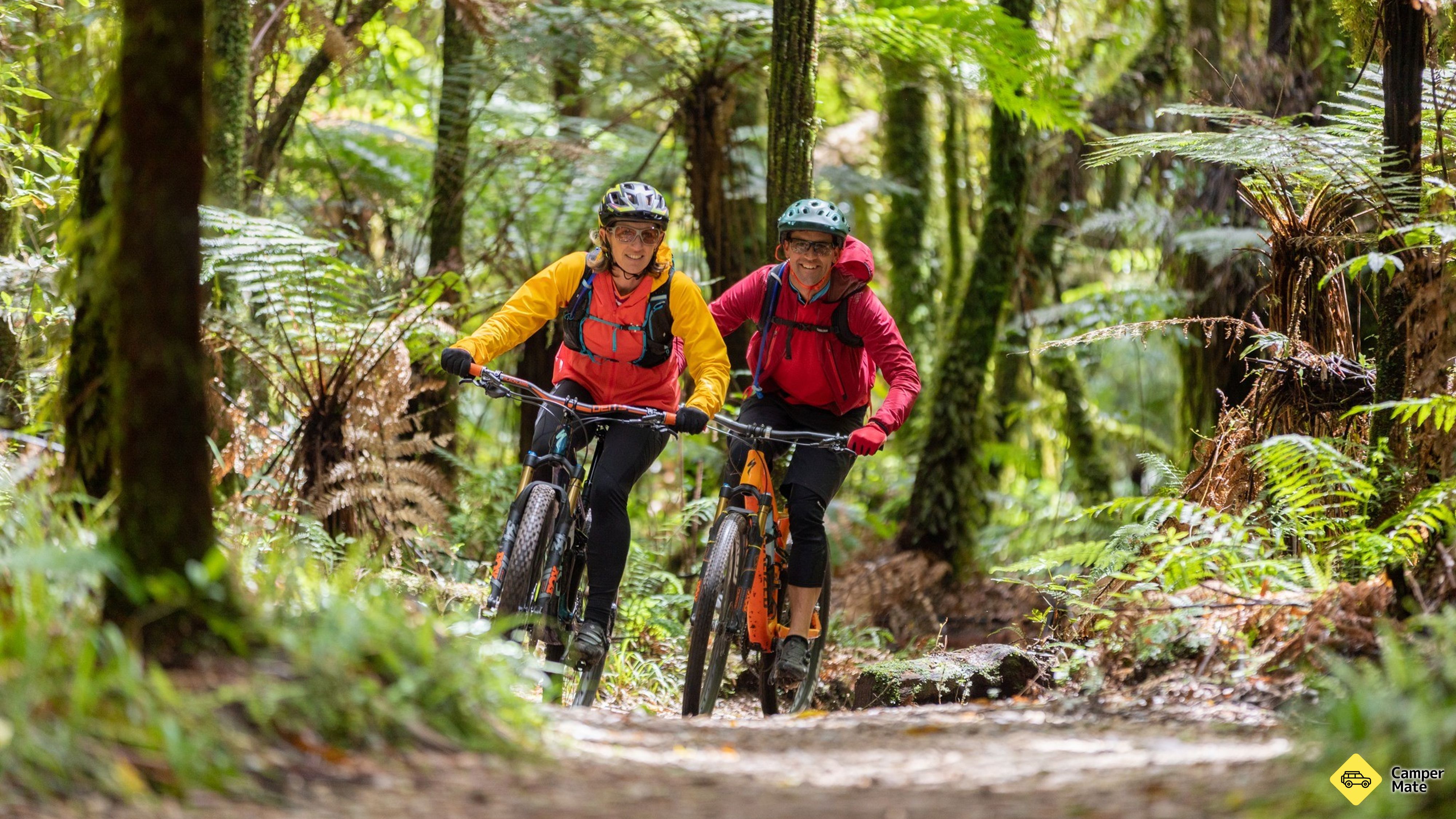 Timber Trail Cycling