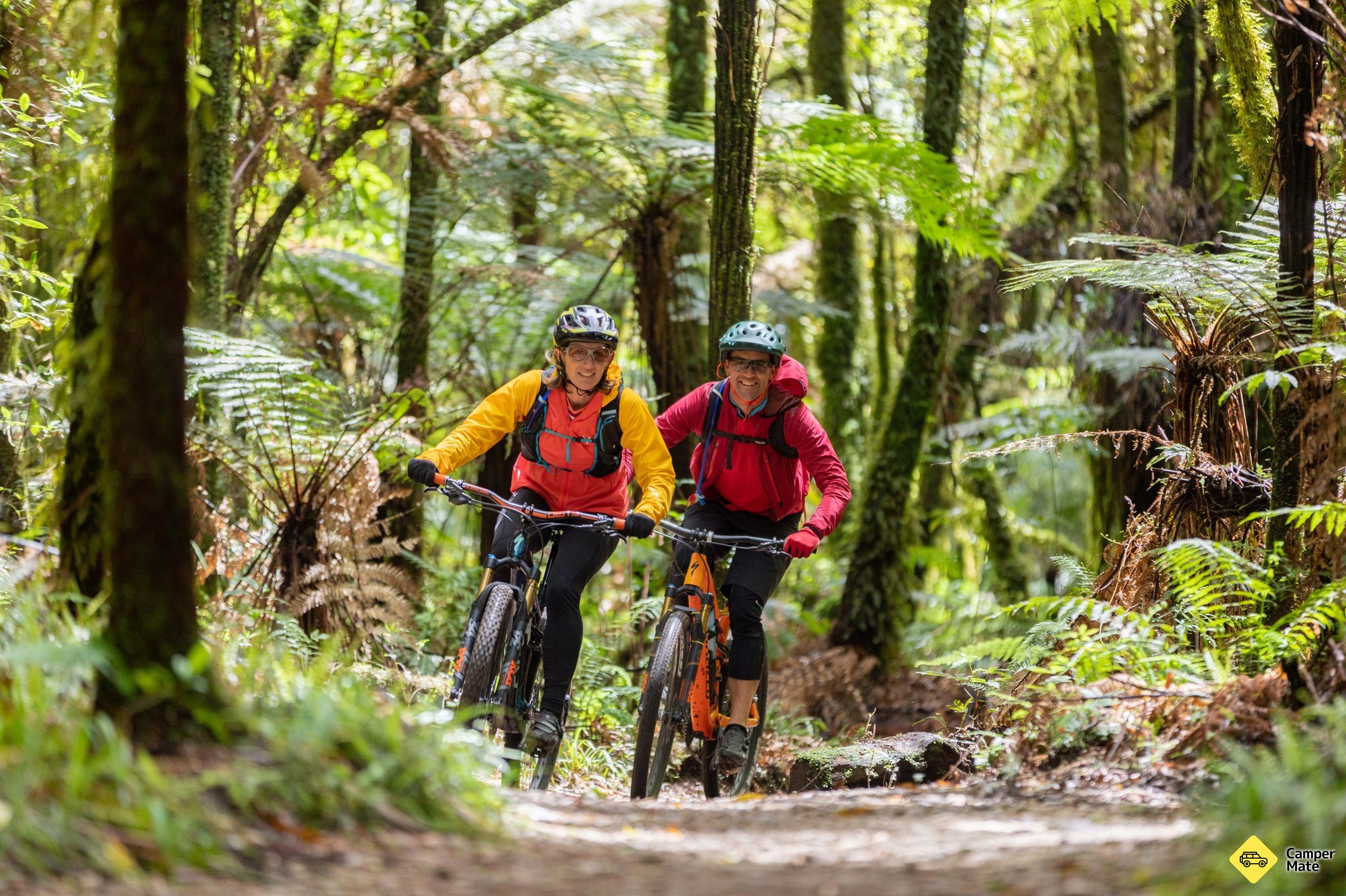 Timber Trail Cycling