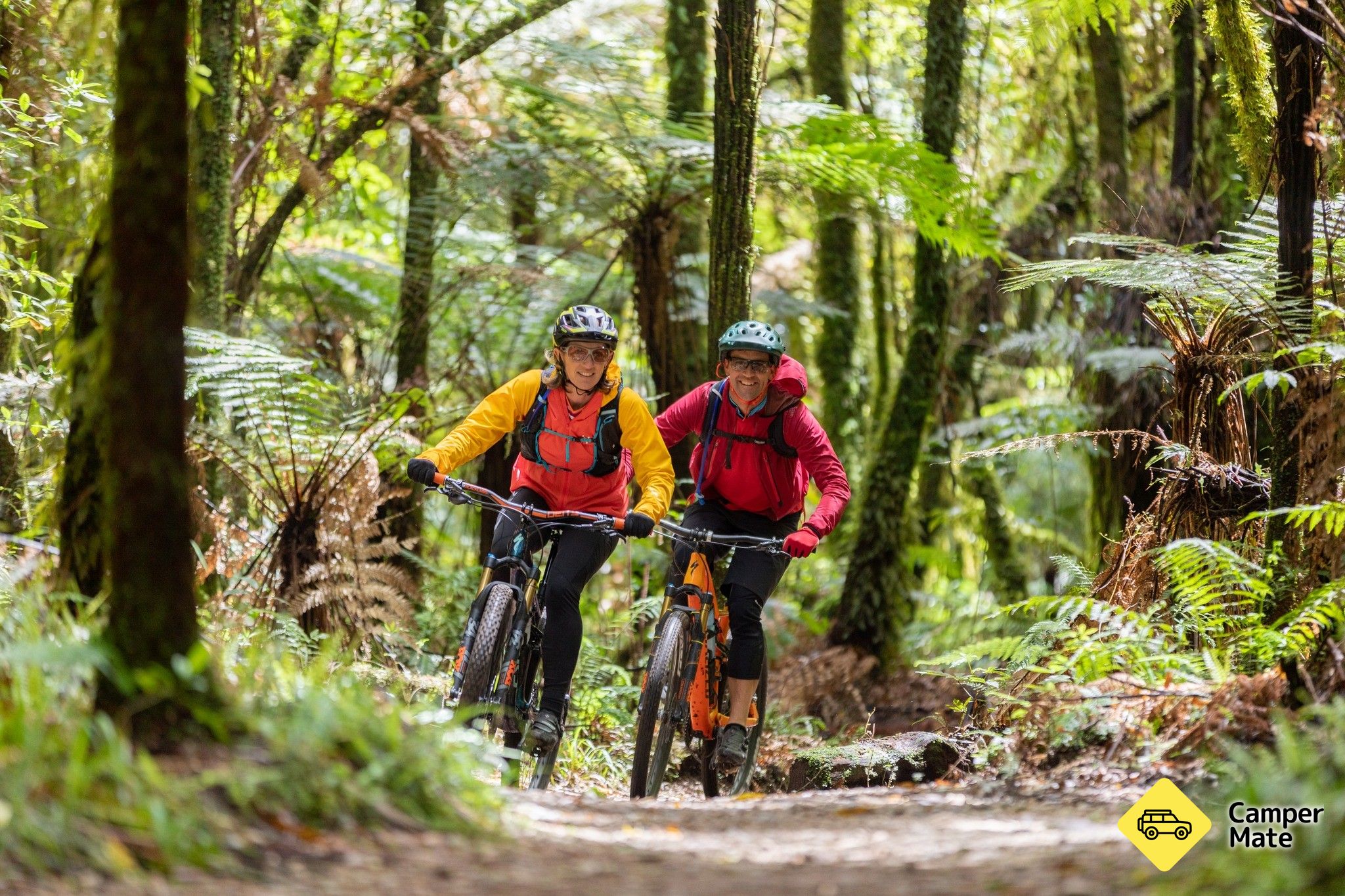 Timber Trail Cycling
