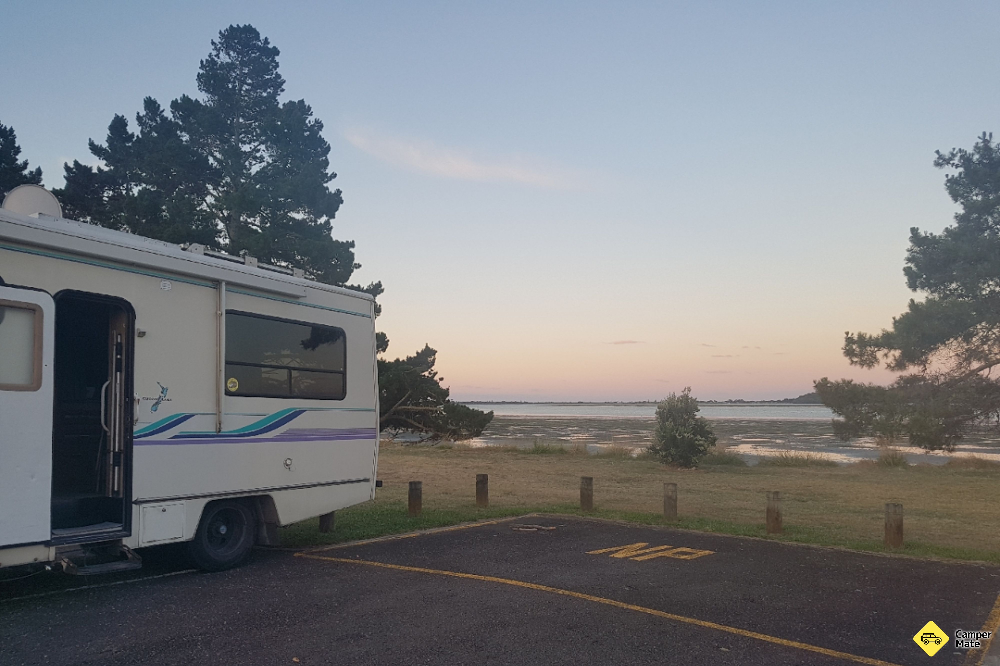 Tuapiro Reserve - Image 3