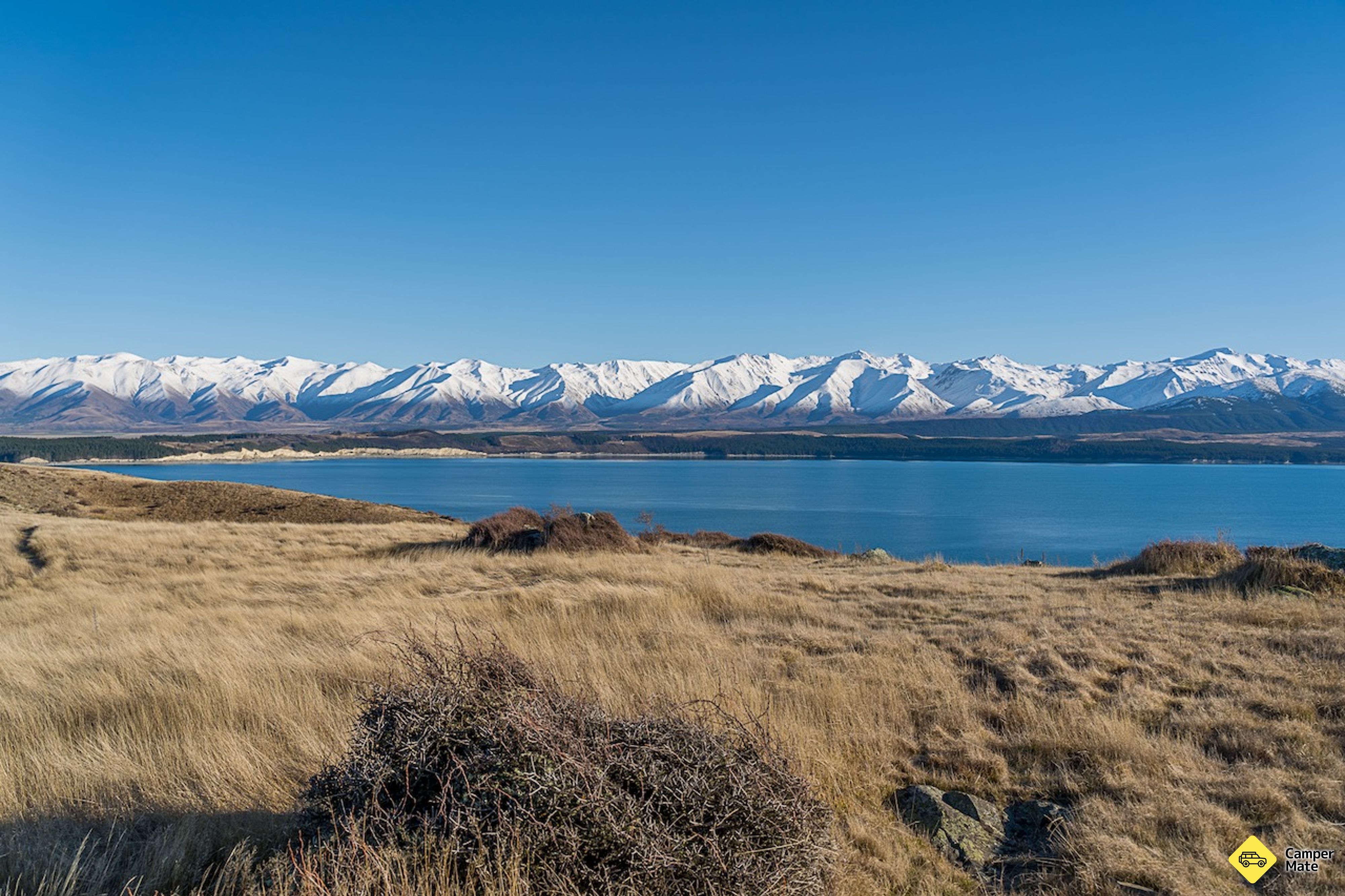 Pukaki Kettle Hole Track - Image 2