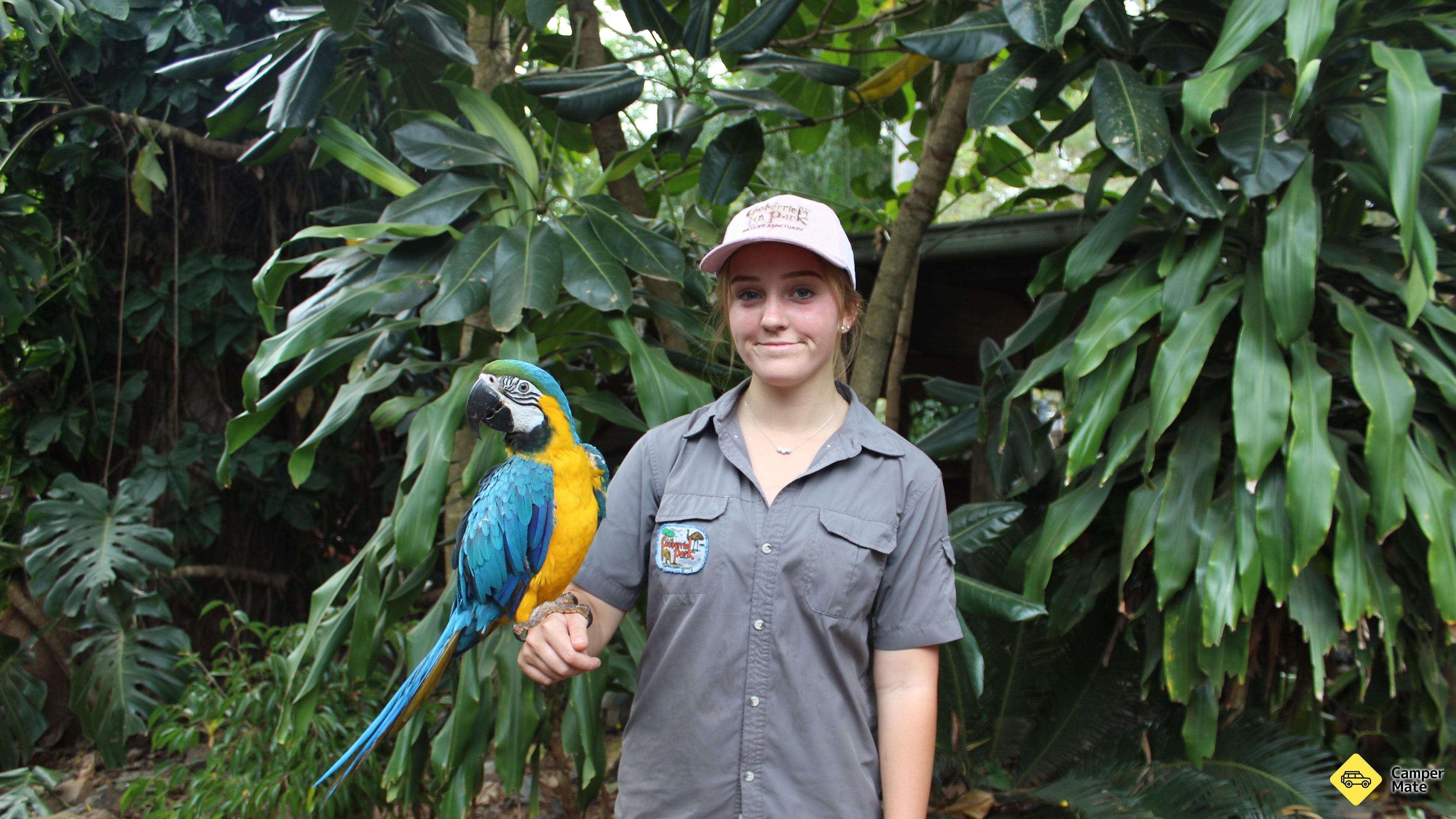 Ubytování Cooberrie Park Wildlife Sanctuary
