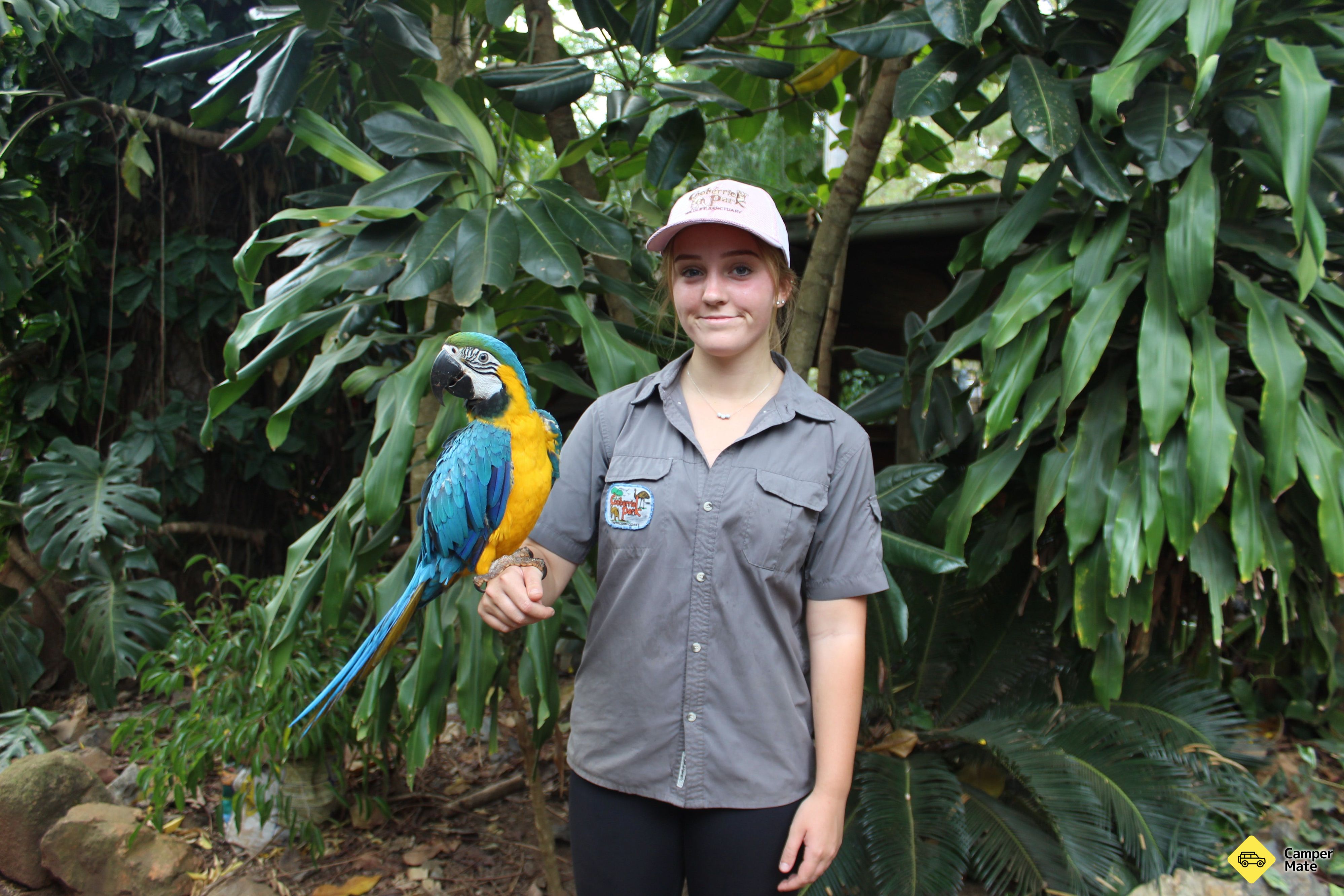 Aktivitäten in der Nähe von Cooberrie Park Wildlife Sanctuary