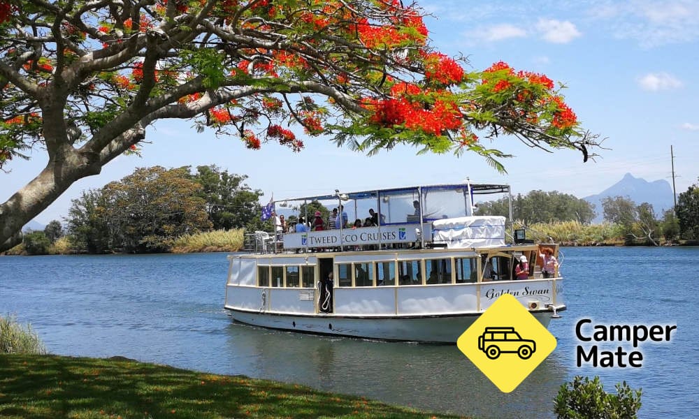 Tweed River and Rainforest Lunch Cruise - Image 2