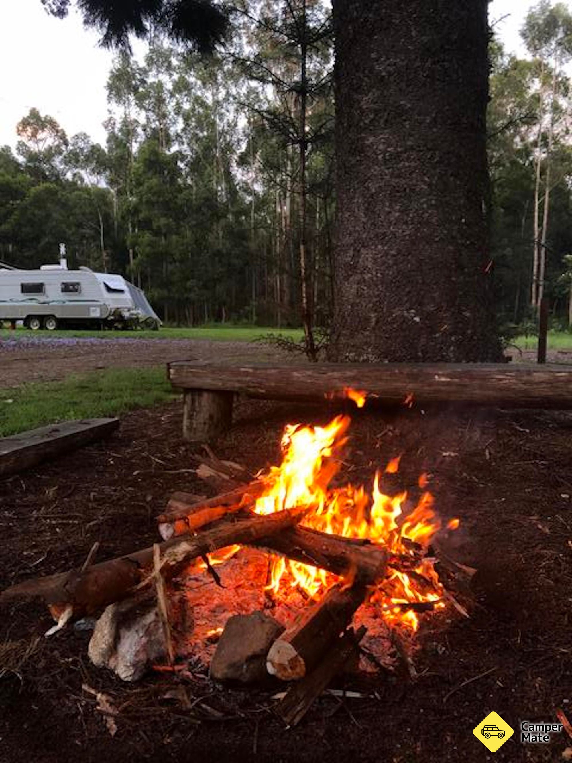 Coopernook Forest Park Camp Area - Image 2