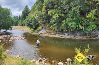 Fly Fish Ruapehu