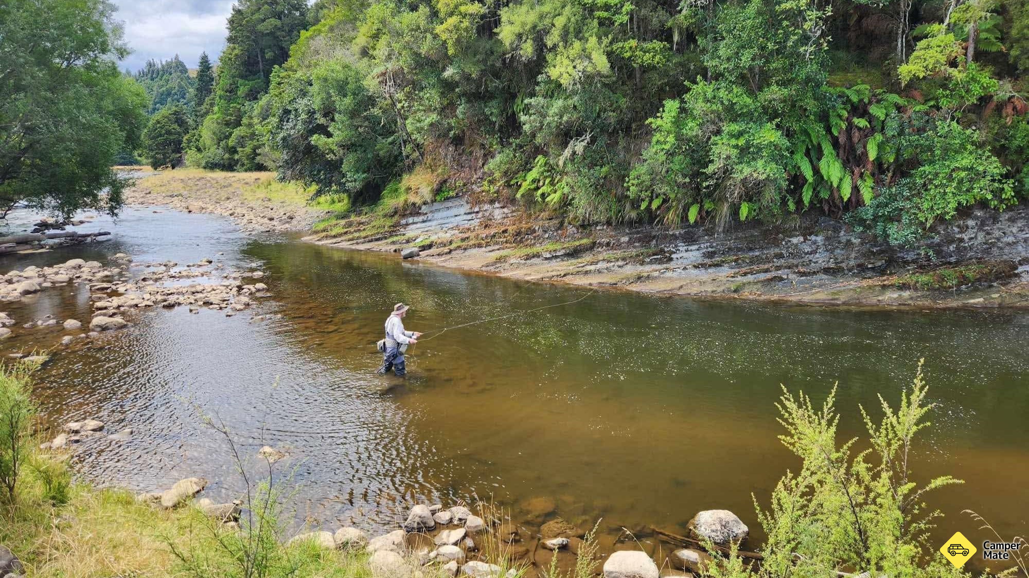 Ikan terbang Ruapehu