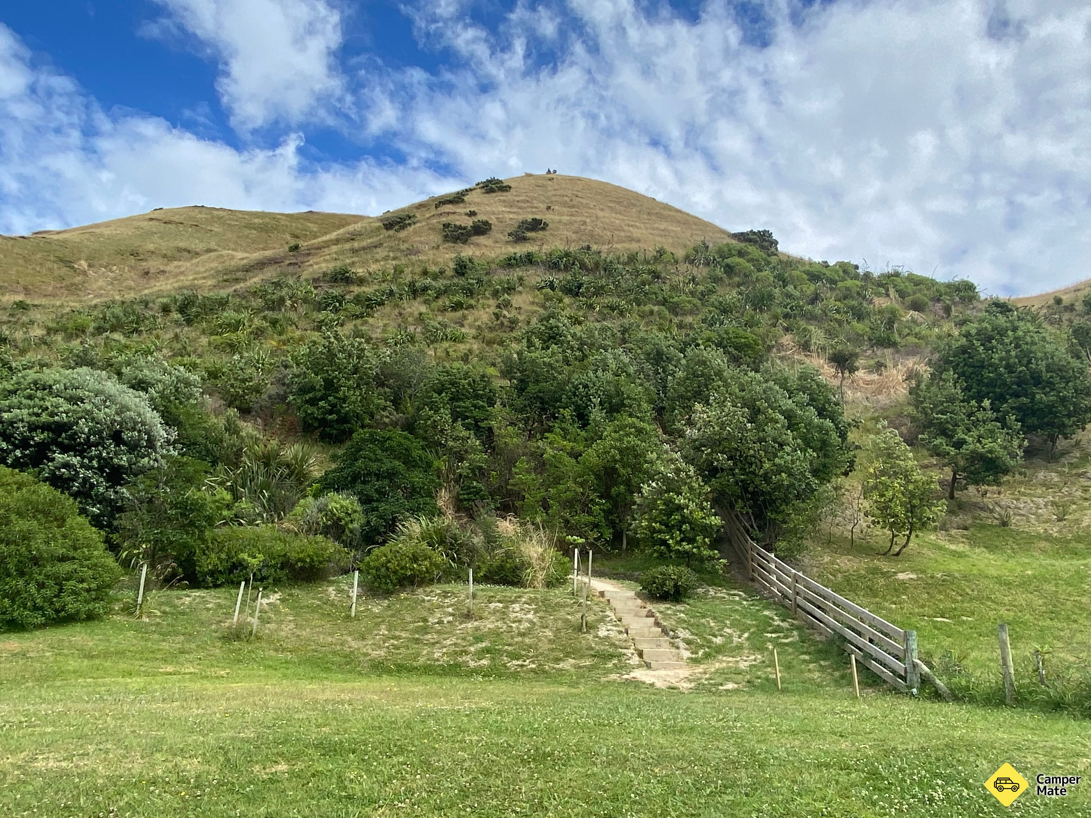 Mokotahi Hill Track - Image 3