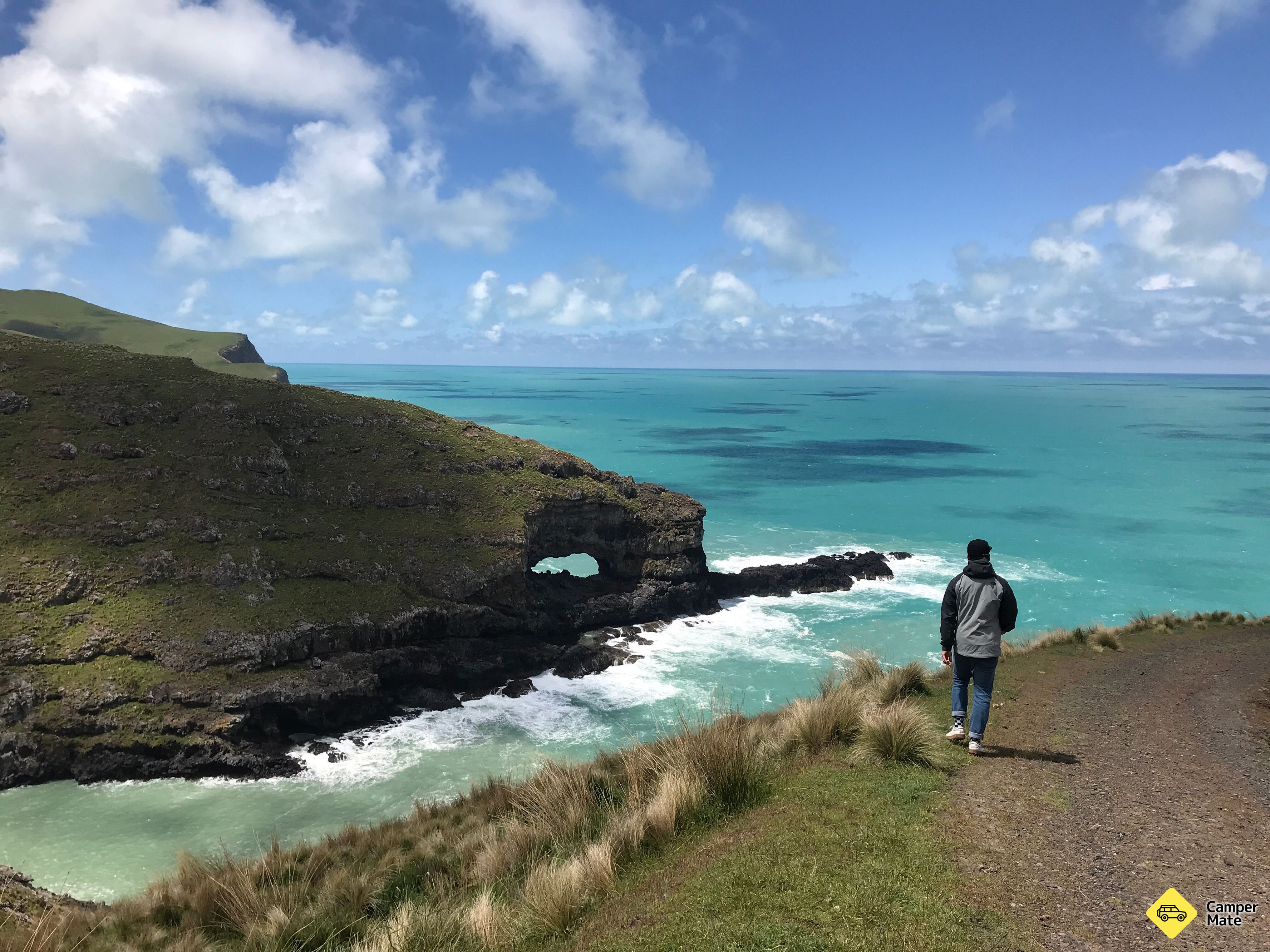 Akaroa Head - Image 3