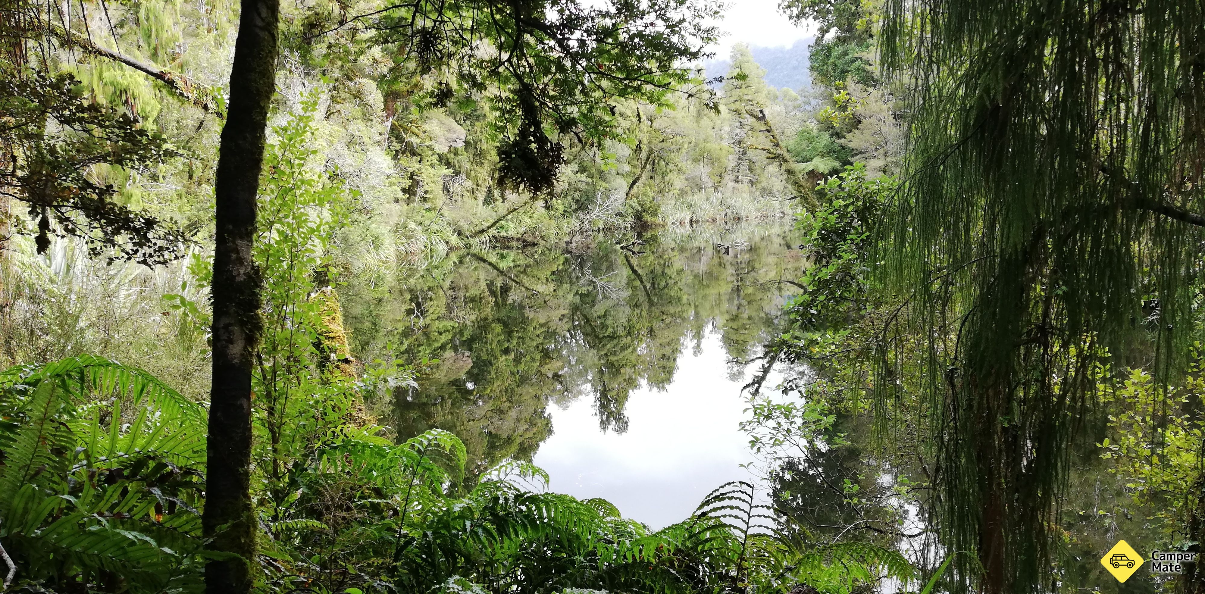 Lake Ellery Track - Image 2