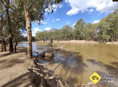 Nyah-Vinifera Park State Forest Camping Area