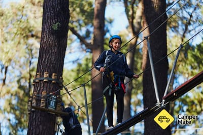 Forest Adventures High Ropes Course