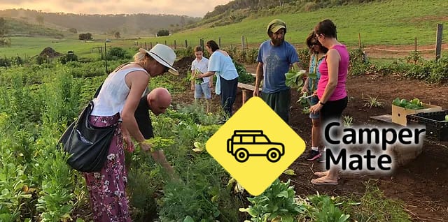 High Valley Dawn, Permaculture Farm के बारे में टिप्पणियाँ - Image 3