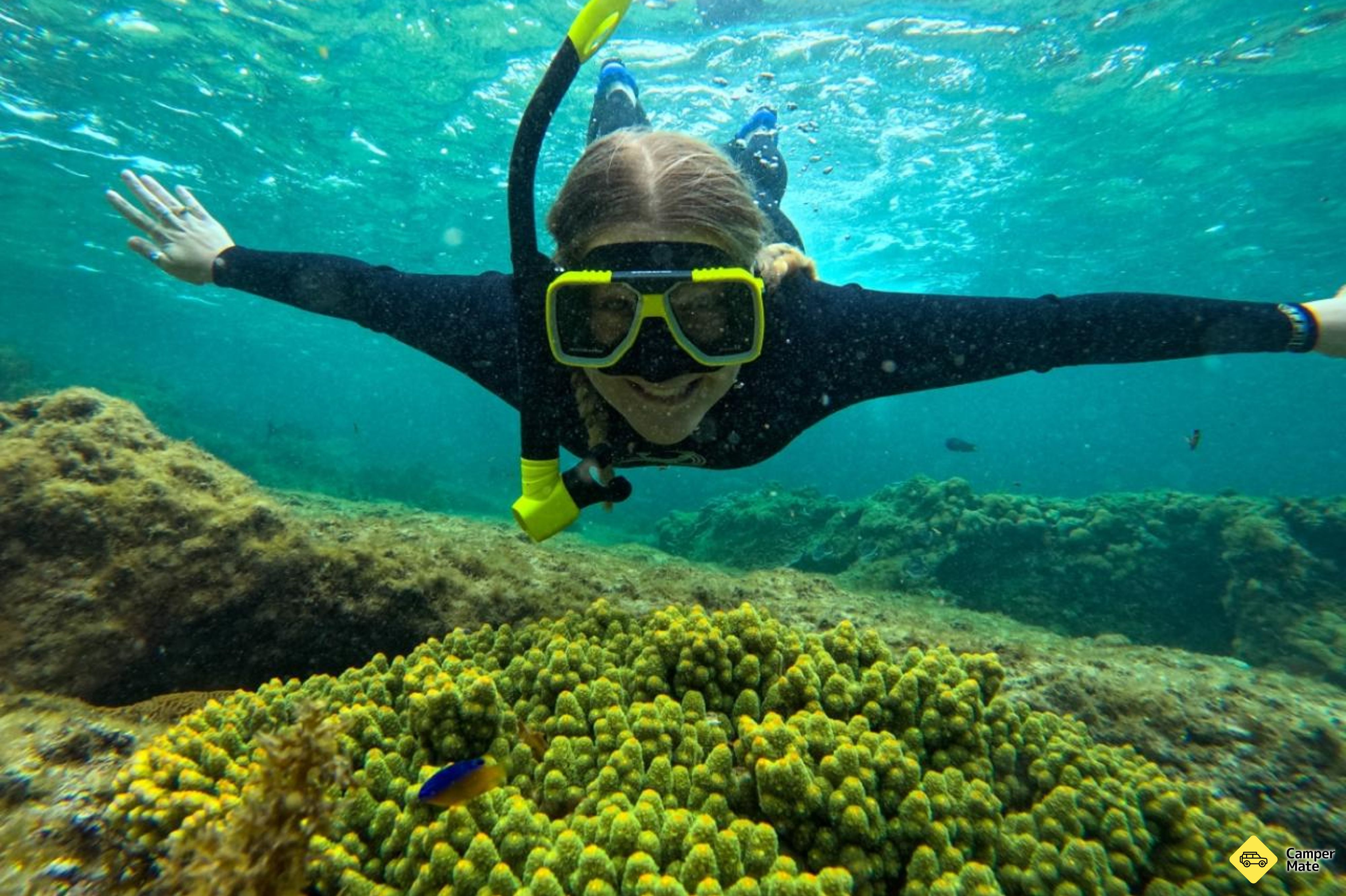 Jurien Bay Oceanic Experience - Image 3