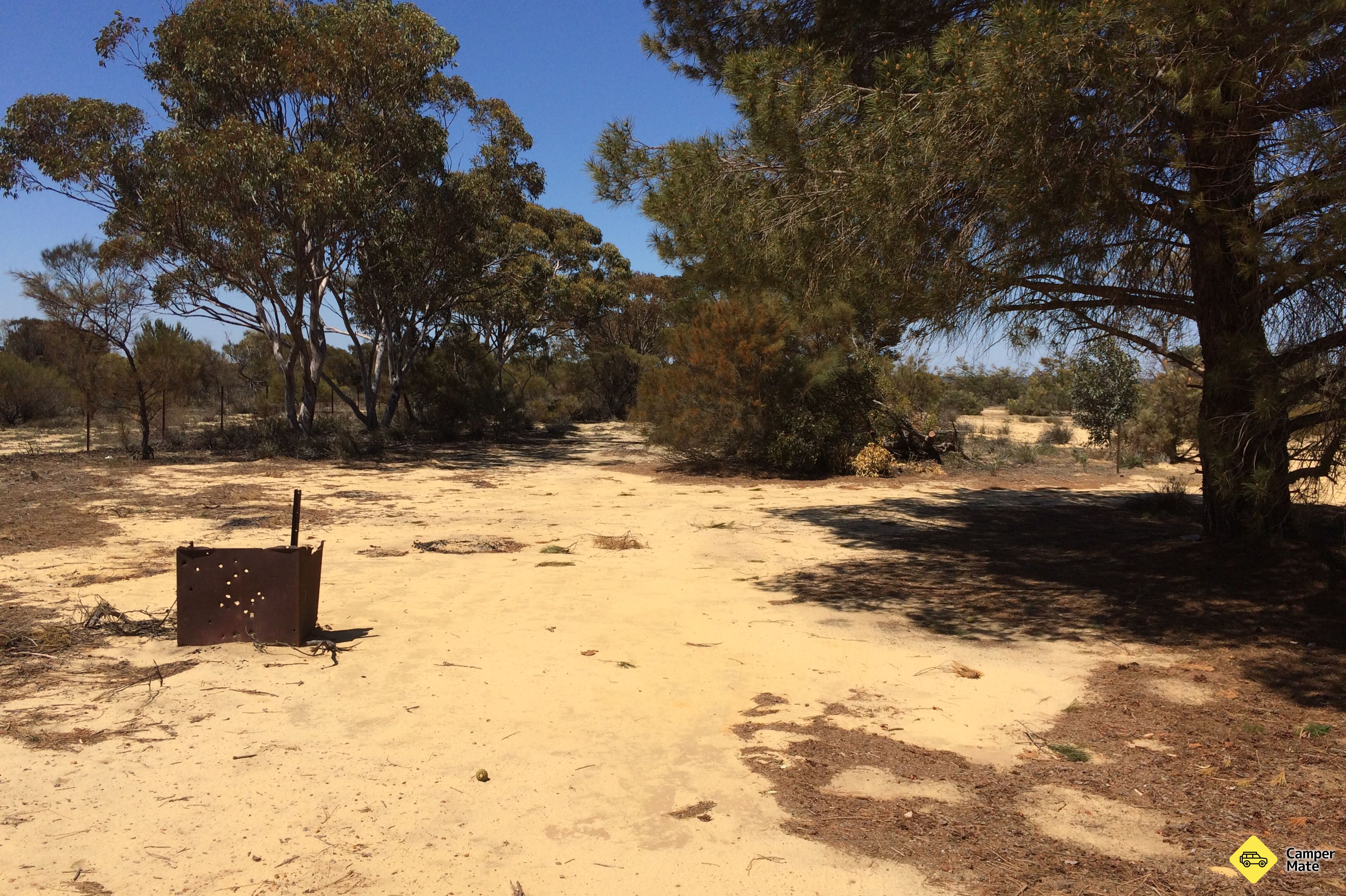 Forrestaniens plot - Image 3