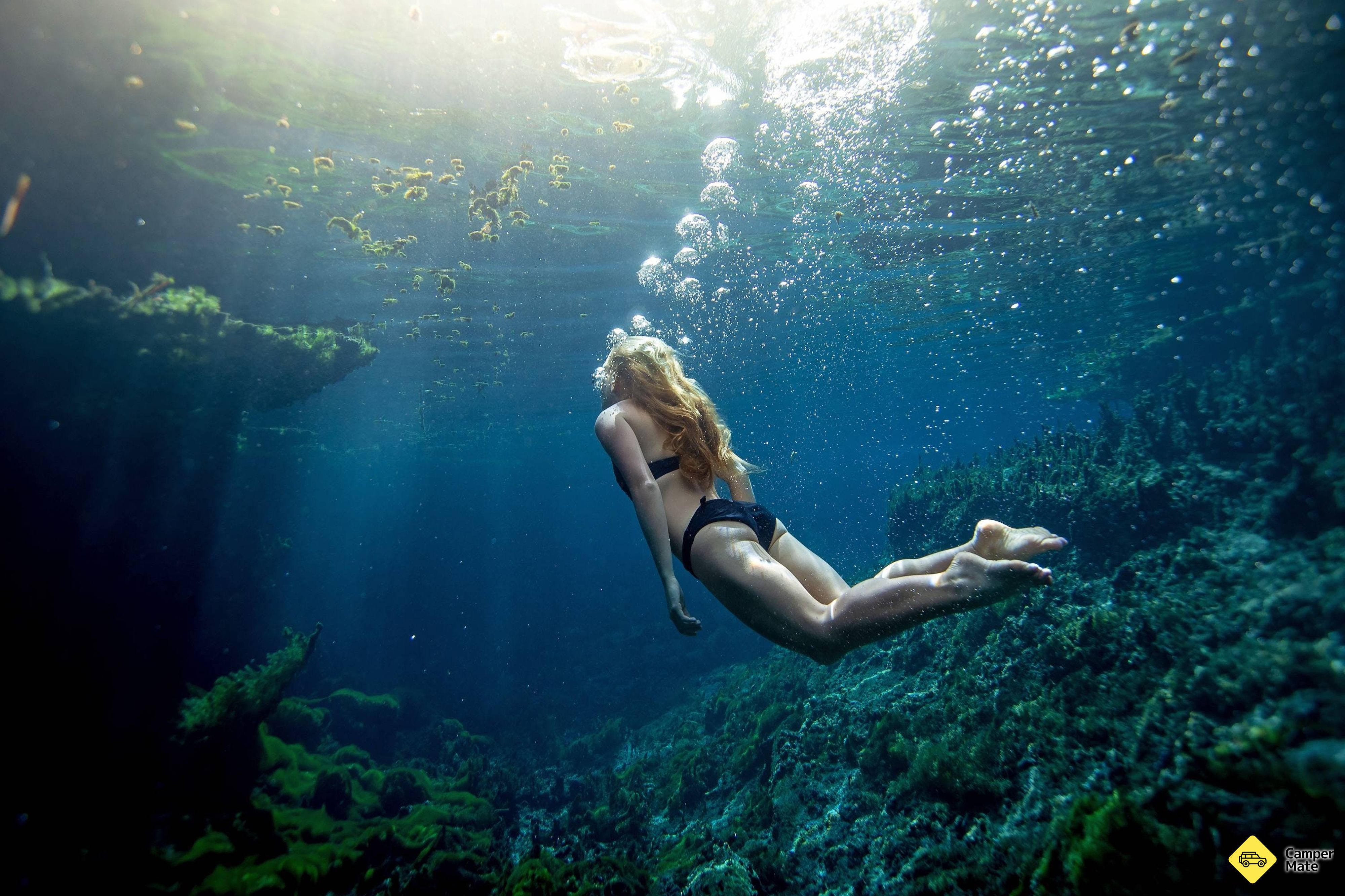 Katherine Pool Mataranka Thermal Pool, Katherine Daly, Northern Territory, Australia ...