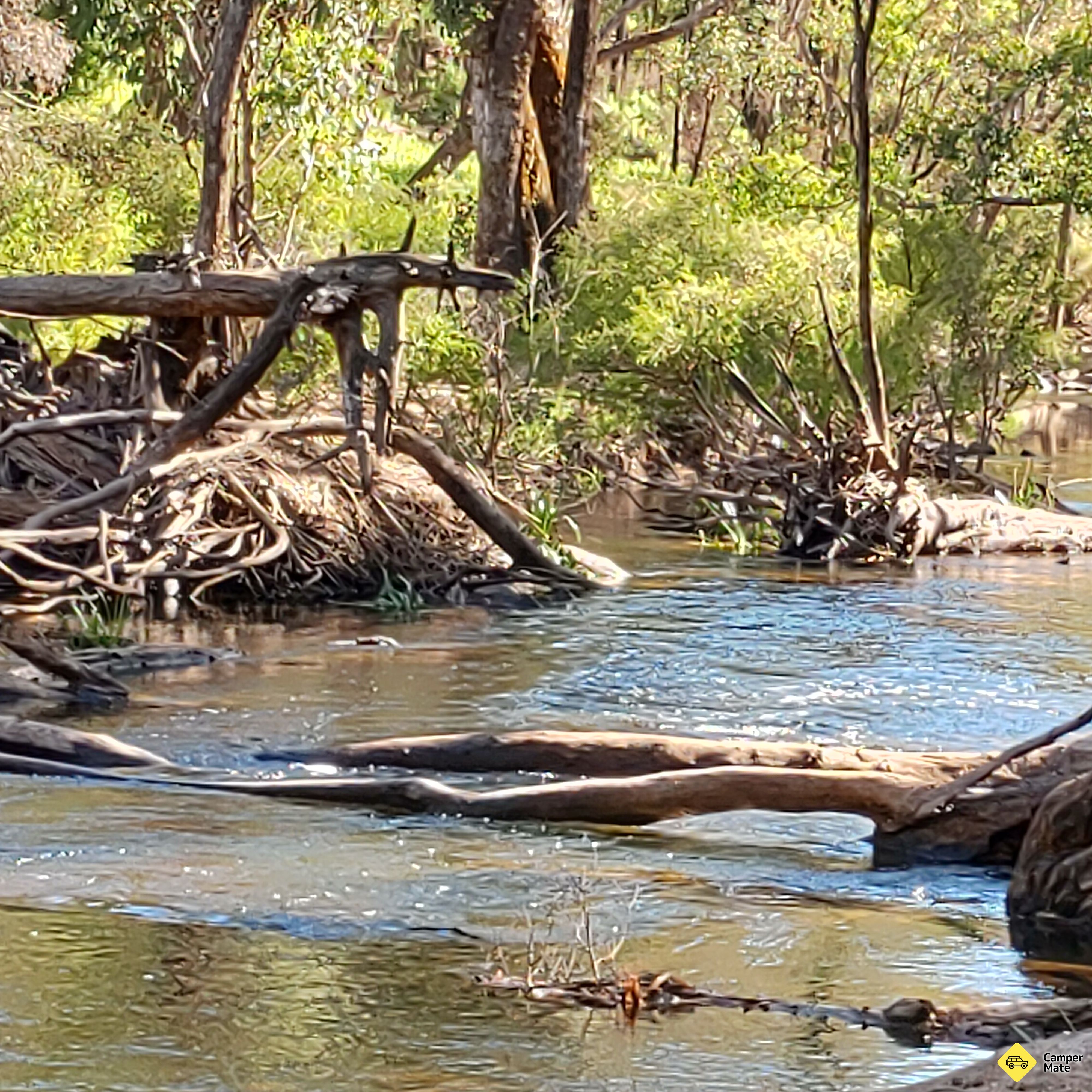 von Tonys Bend Campground - Image 2