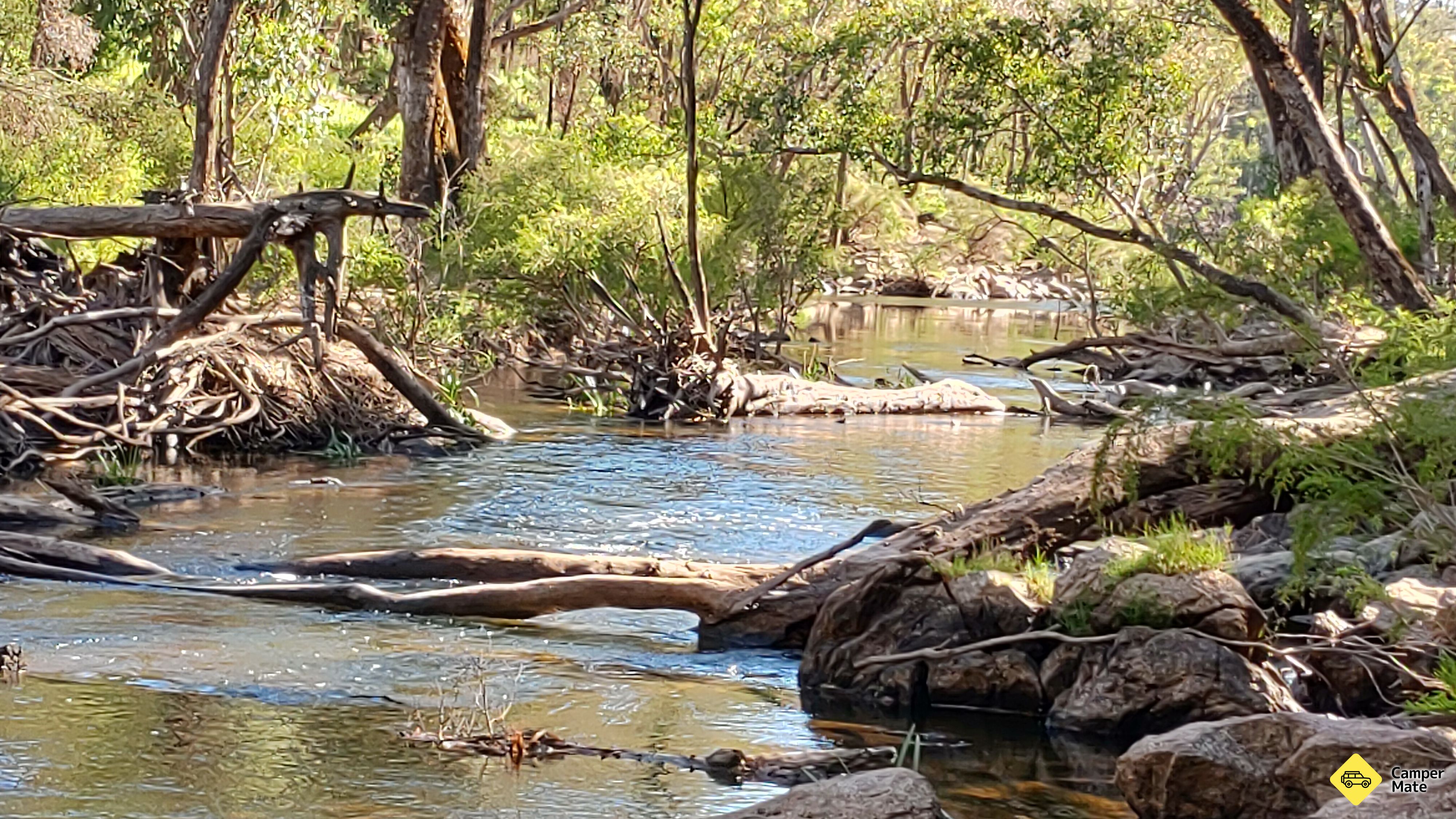 Tonys Bend Campground - Image 2