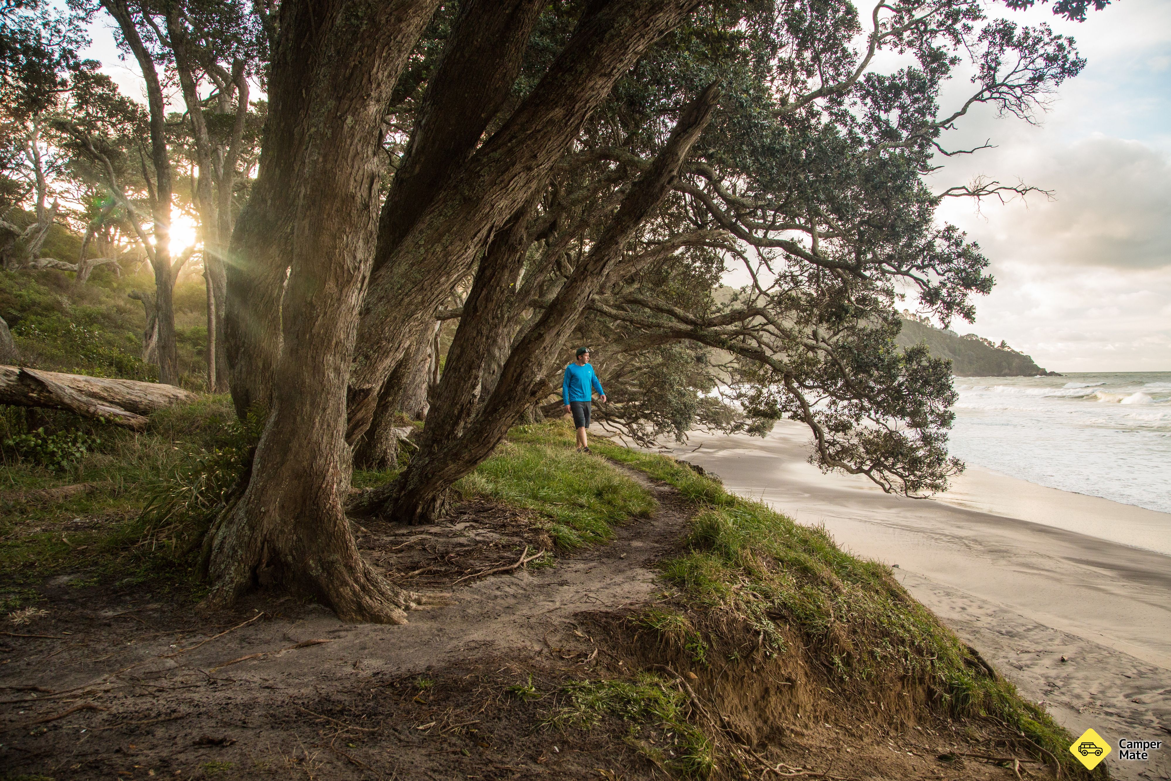 Orokawa Scenic Reserve Track 부근의 호텔 - Image 3
