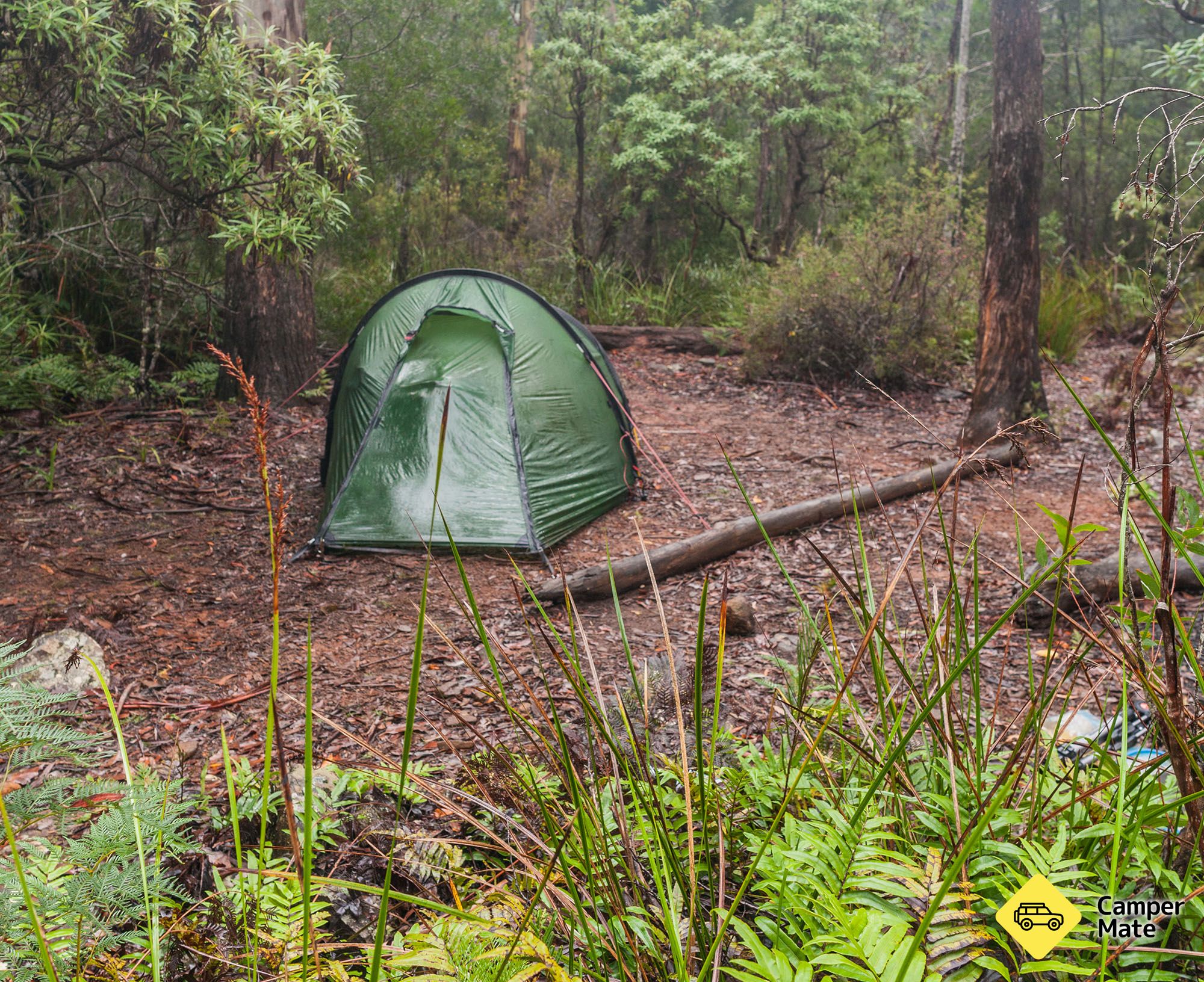 Hôtels près de Douglas-Apsley National Park