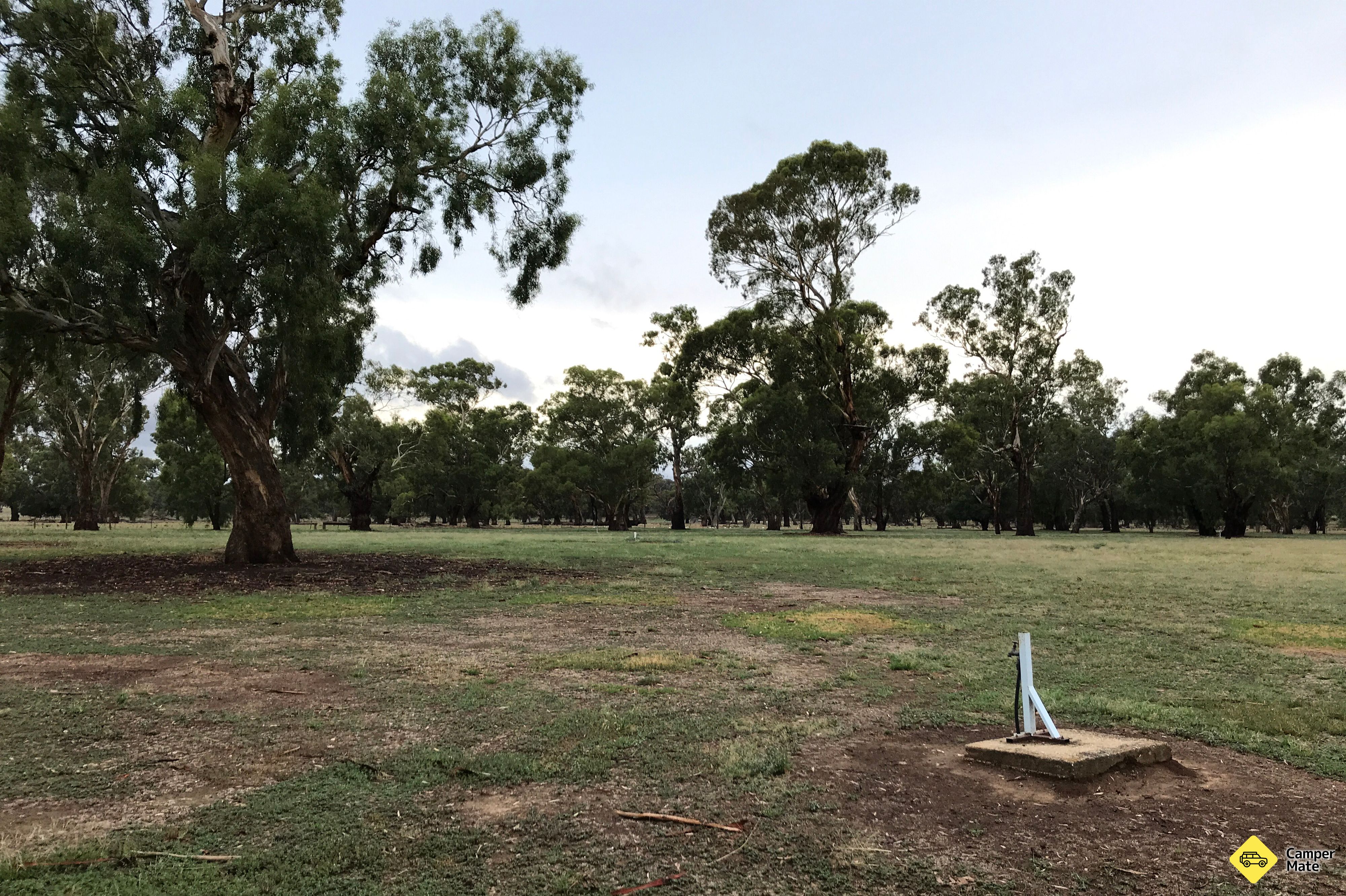 Camp Kurrajong