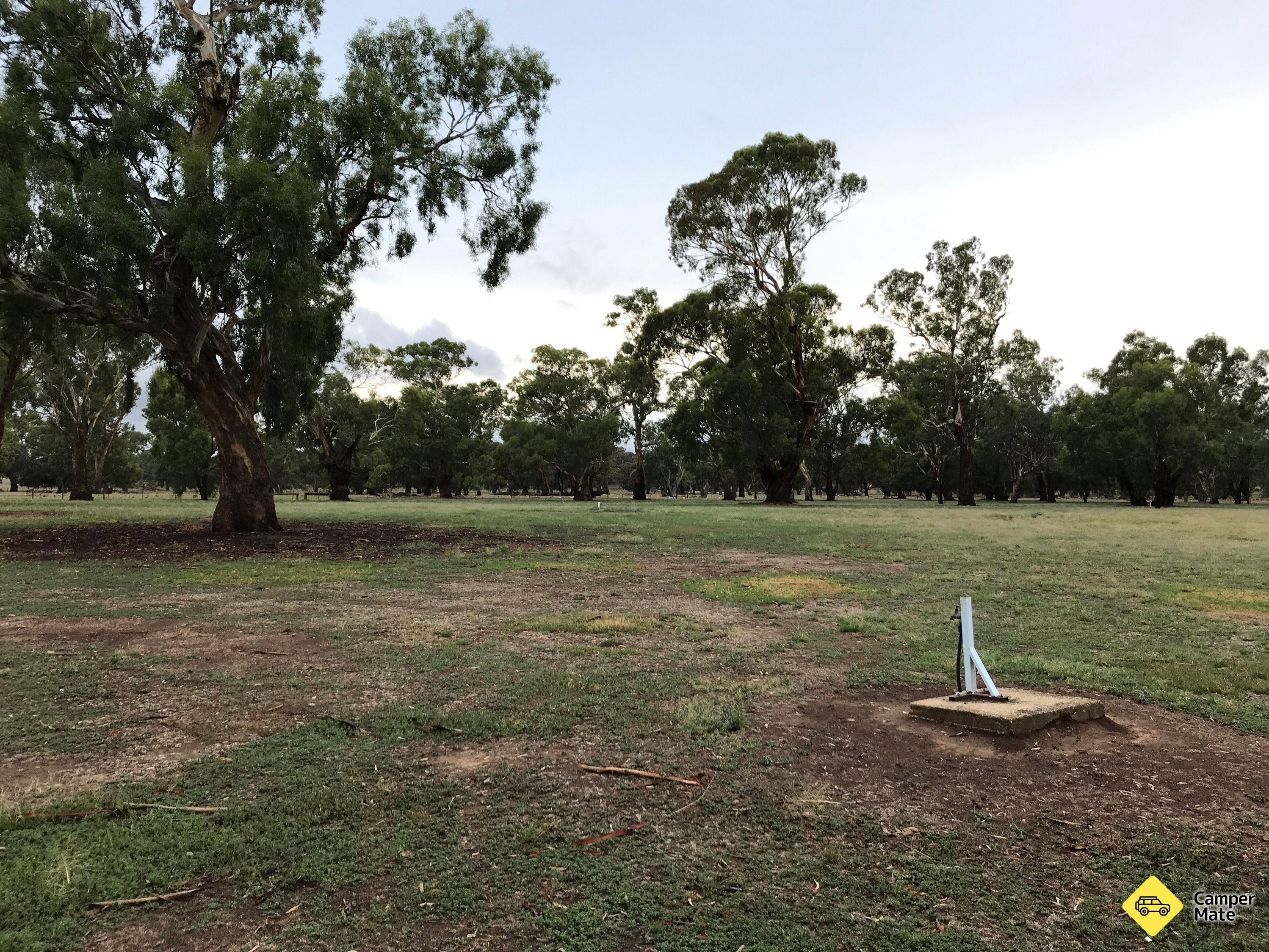 Camp Kurrajong