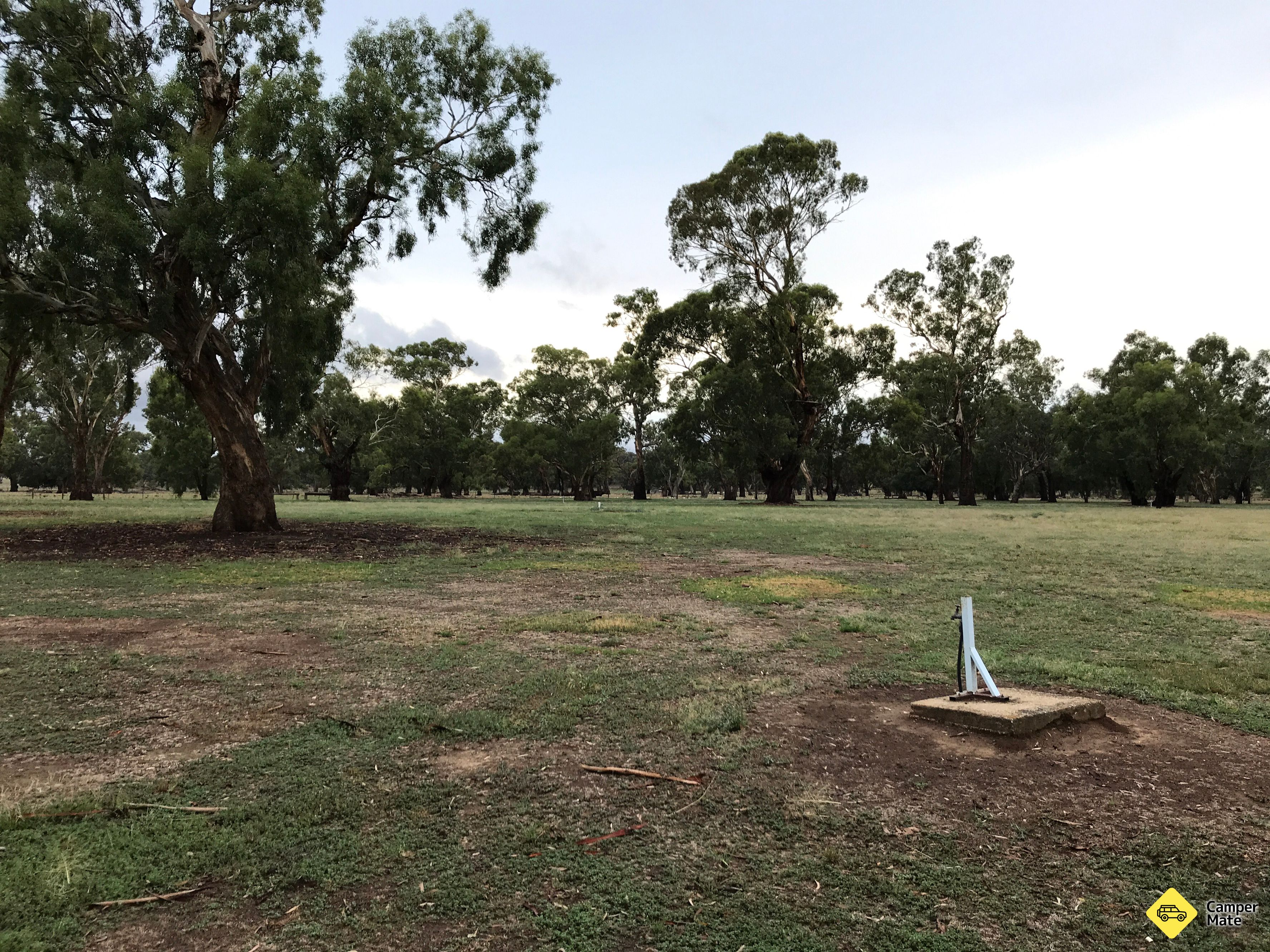 Camp Kurrajong